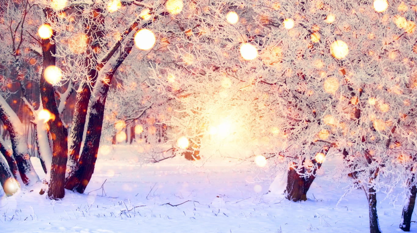 Holiday Help Hub