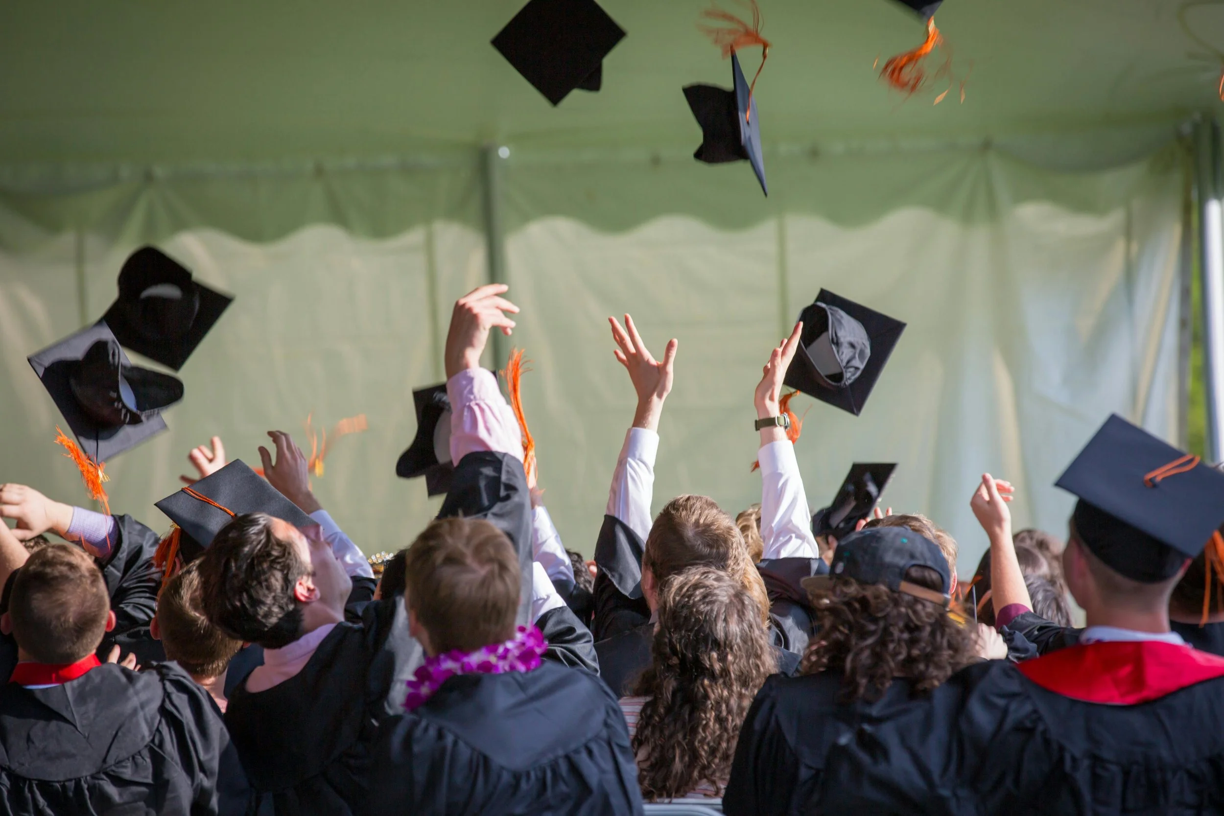 Why Your Skills and Achievements Can Trump Degrees in the Job Search