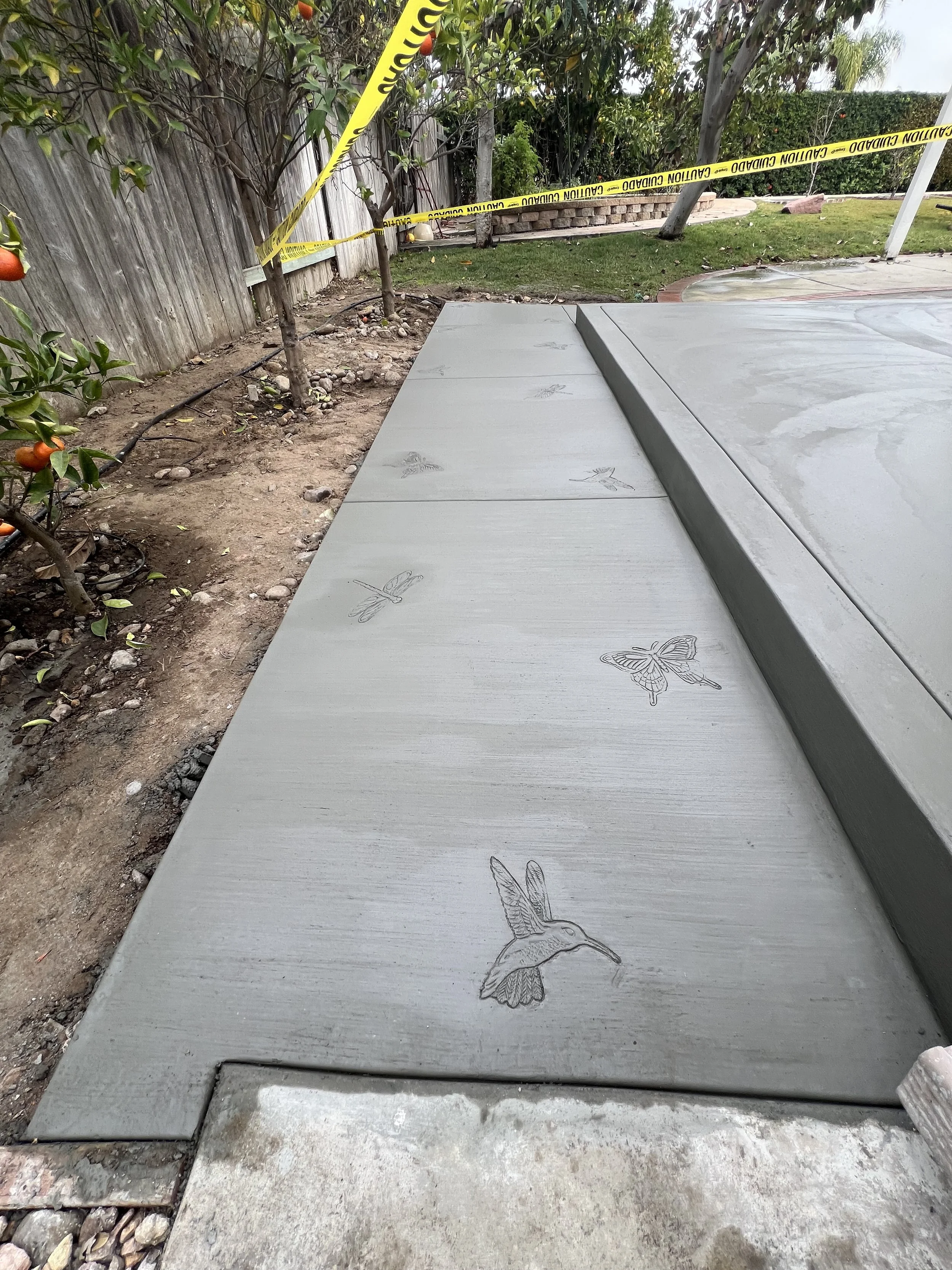 stamped concrete with hummingbirds, butterflies, and dragonflies. broom finish concrete in san diego