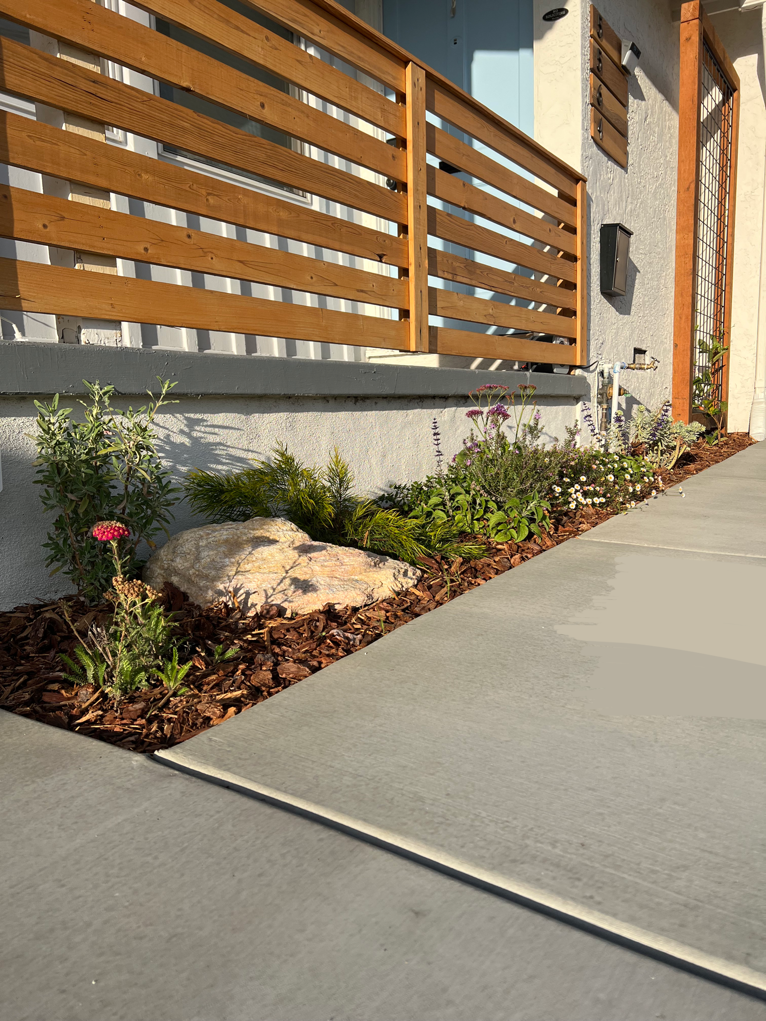 front yard remodel including concrete pathway, boulders, mulch, and plants.