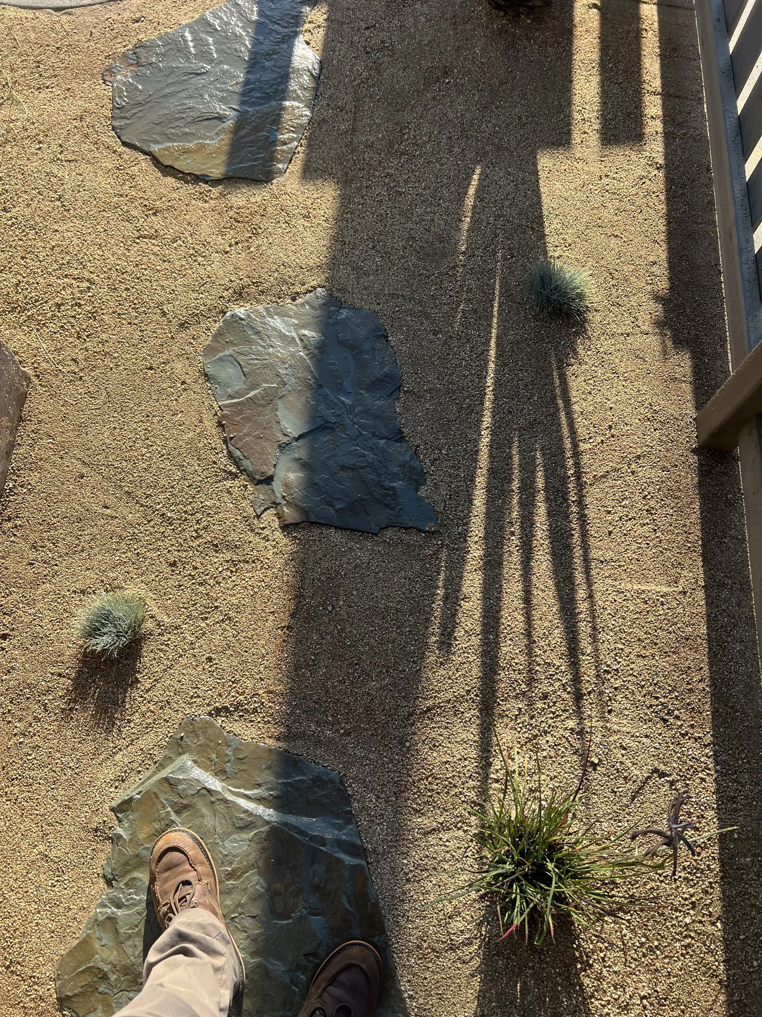 flagstone in dg with drought tolerant plants