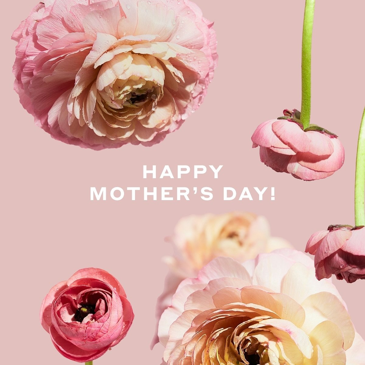 To all of the mothers and mother figures - this one's for you. Happy Mother's Day! 💛

#mothersday