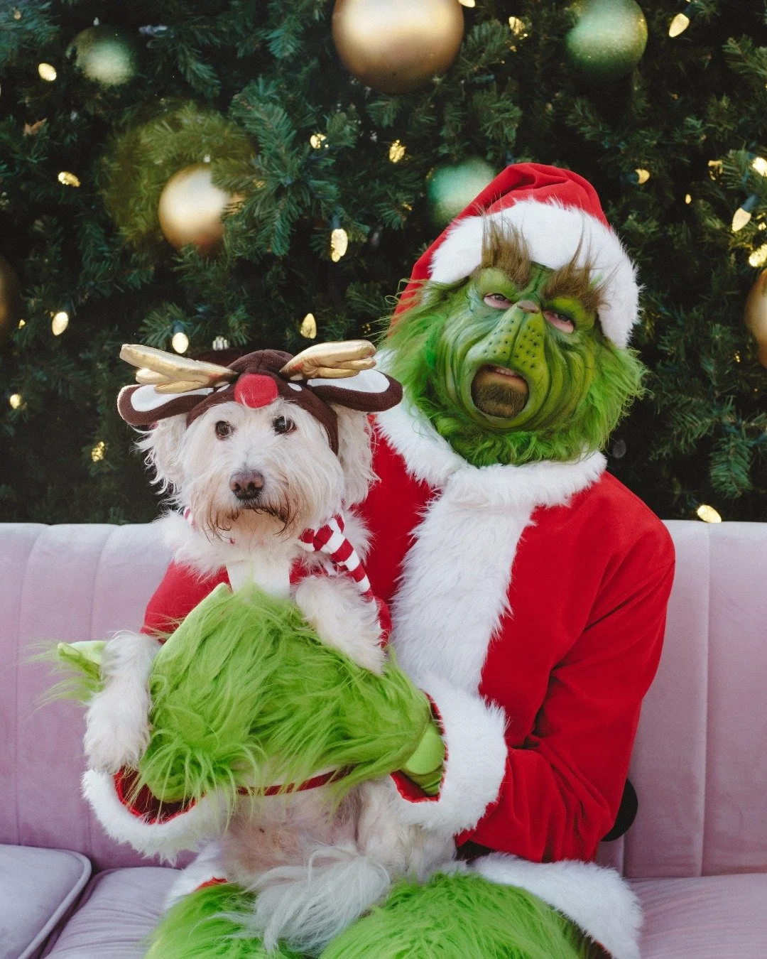 Capturing holiday magic, one family at a time. Happy Holidays!