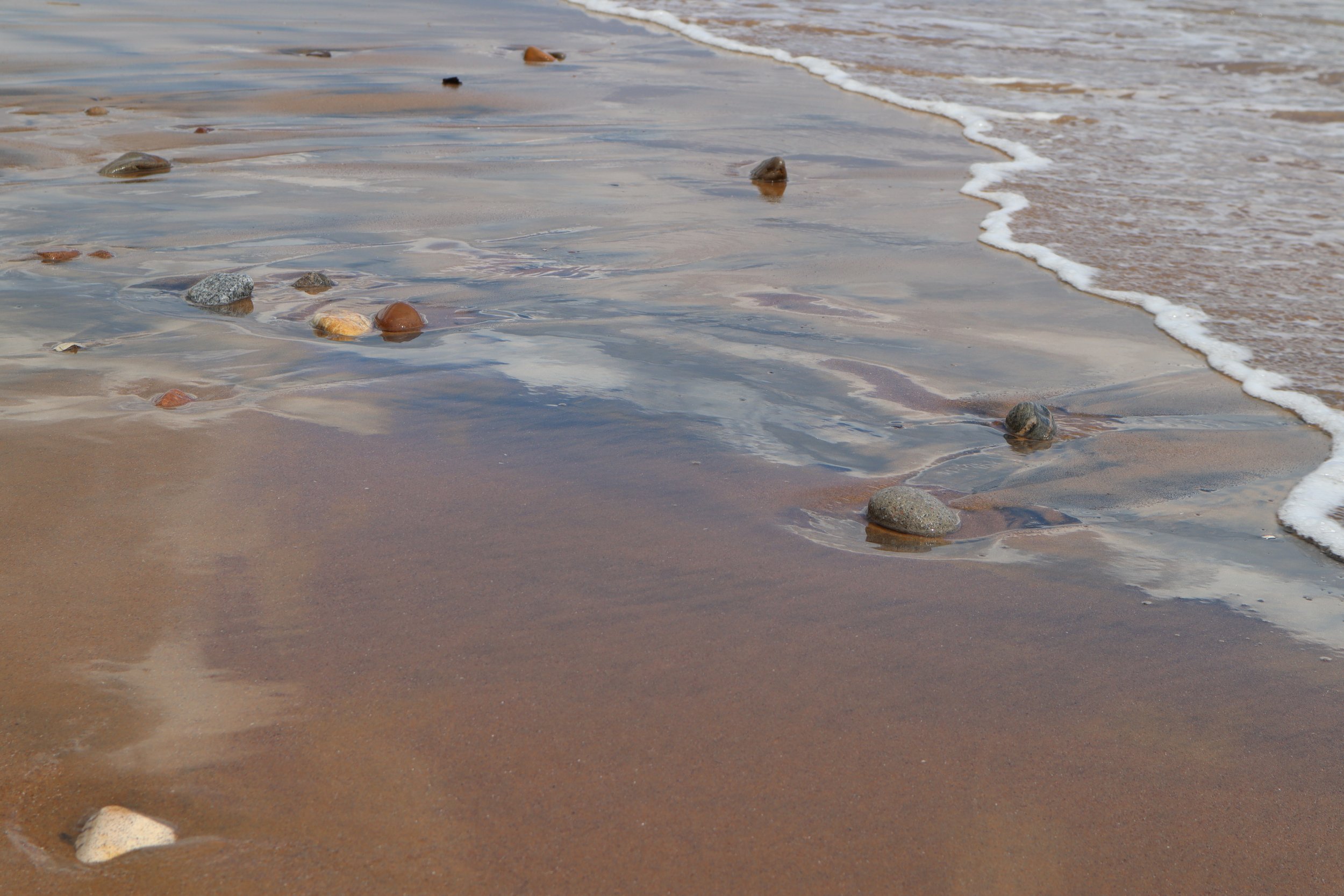 granite city sphynx cattery cats for sale UK, sphynx cats for sale