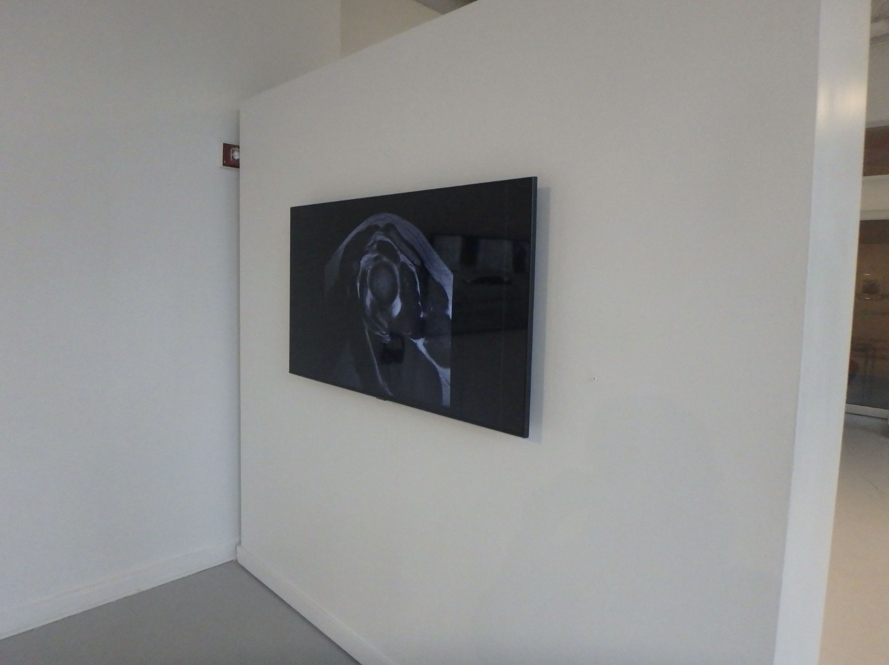 Screenshot 2024-05-09 at 4.04.55 PM.png