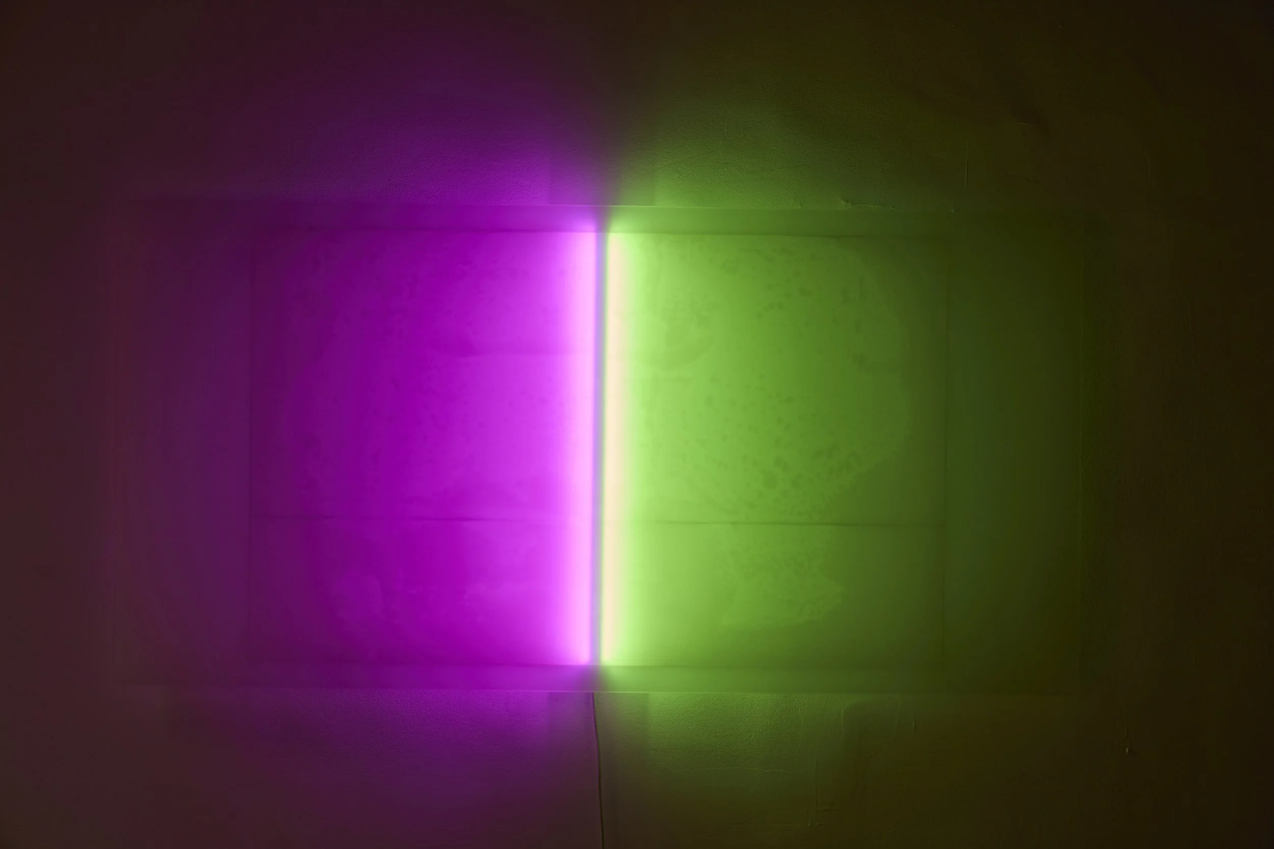 2132_0031.jpeg