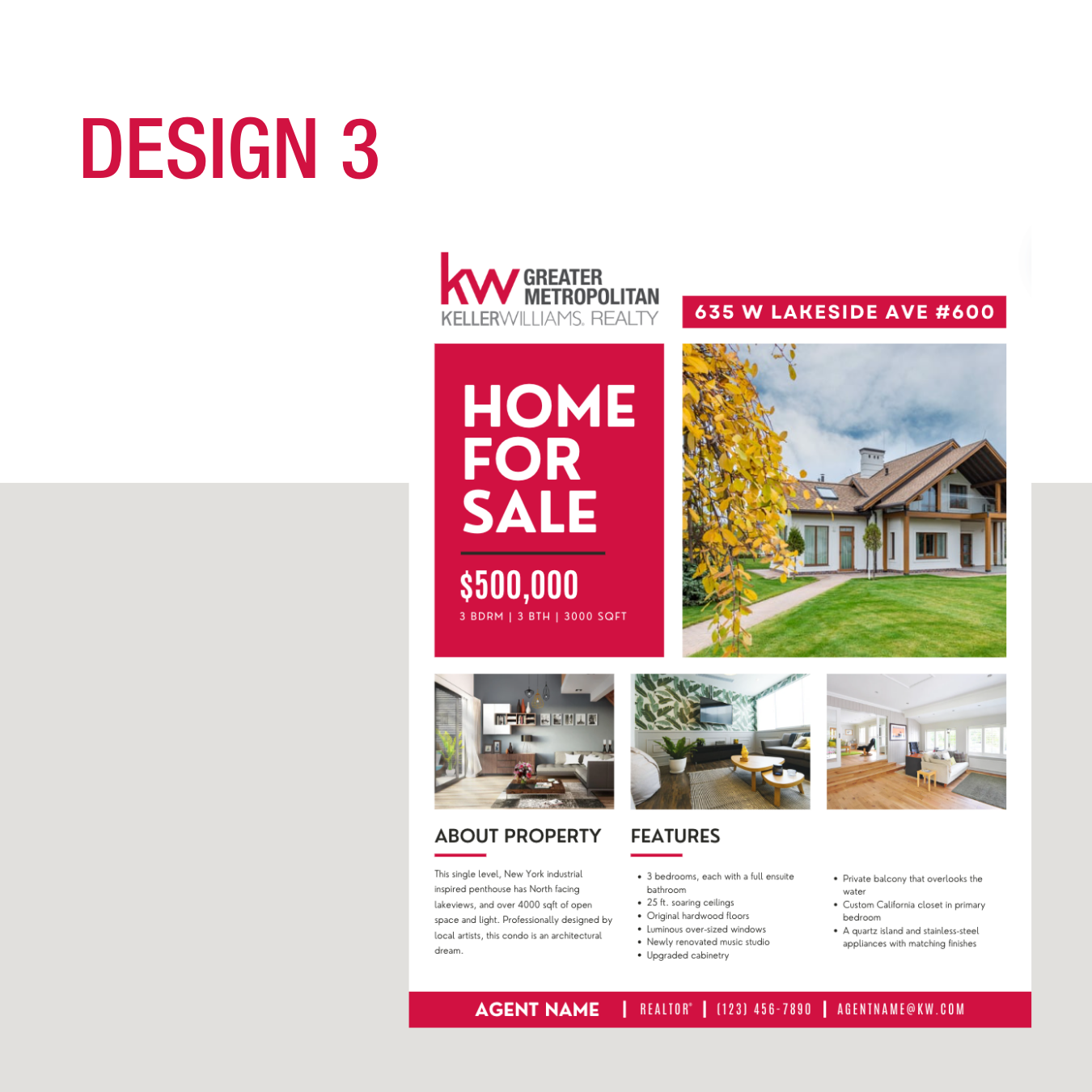 For Sale Flyer 3.png