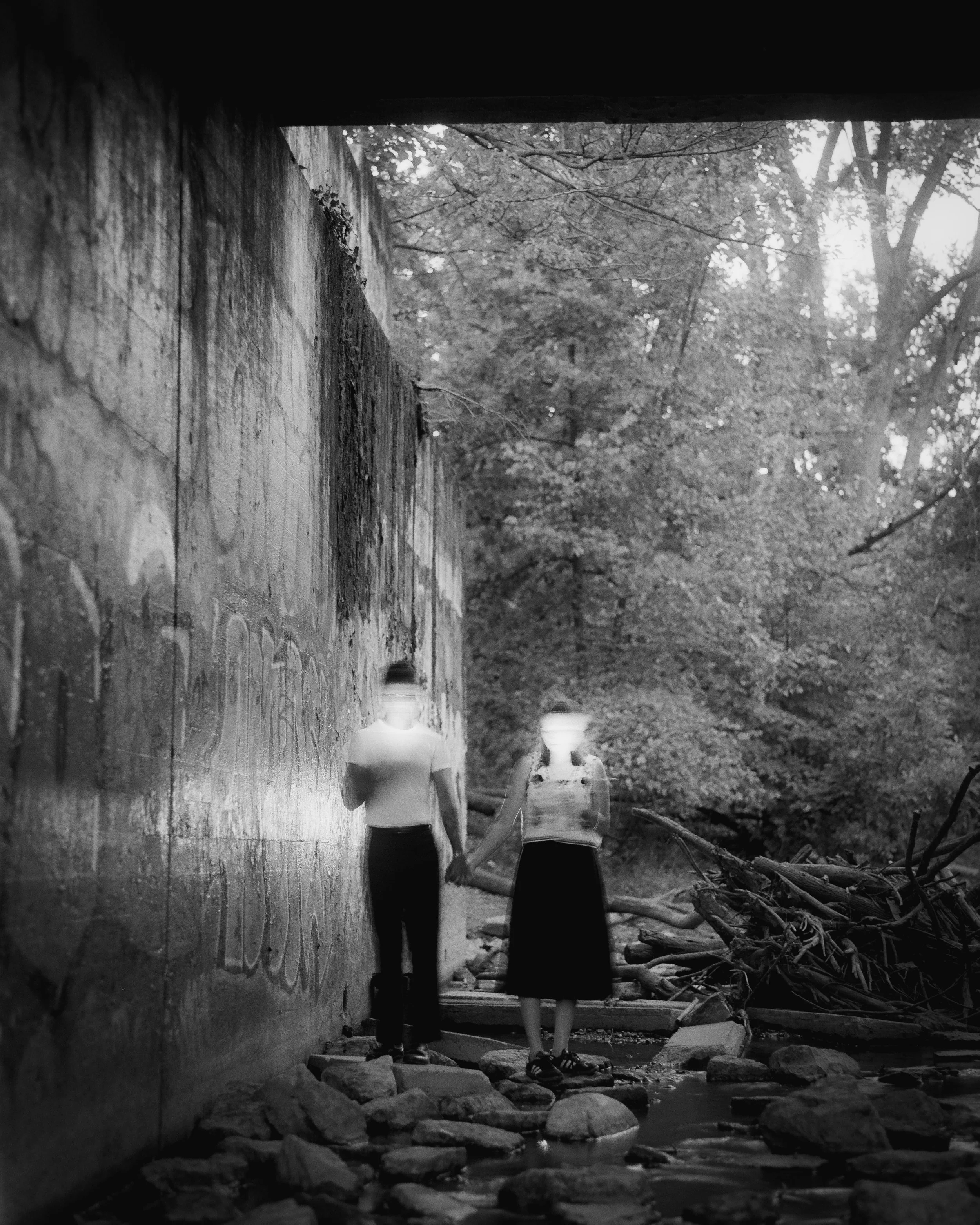 Etiolation - Small.jpg