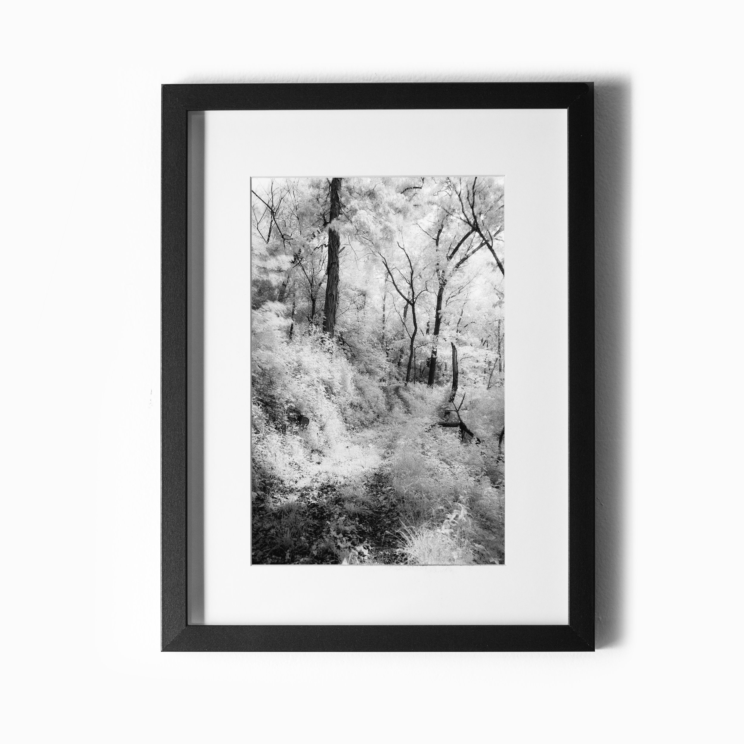 Vertical 8x12 Print Wall Proof.jpg