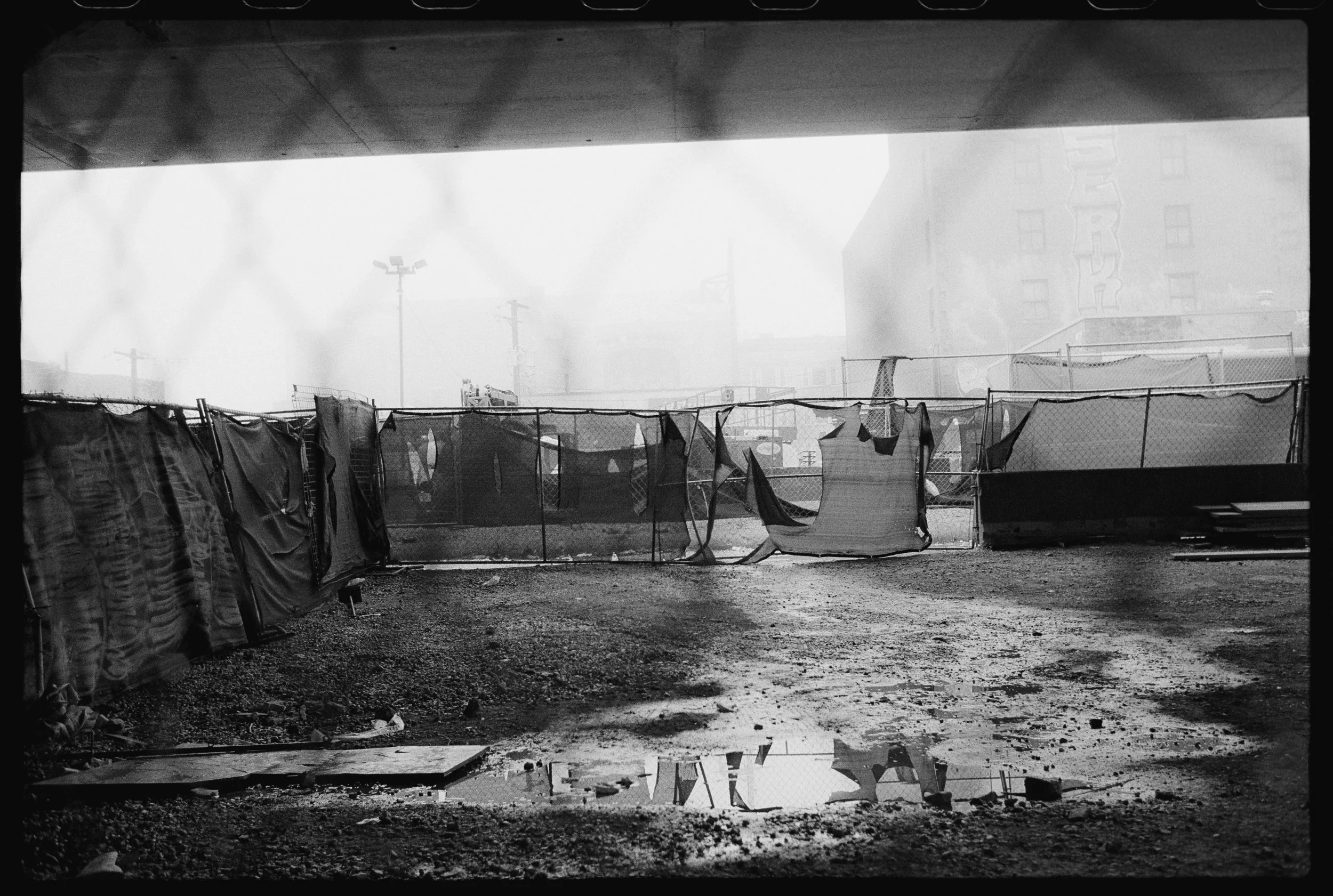 Kentmere 400 12.31.25-8.jpg