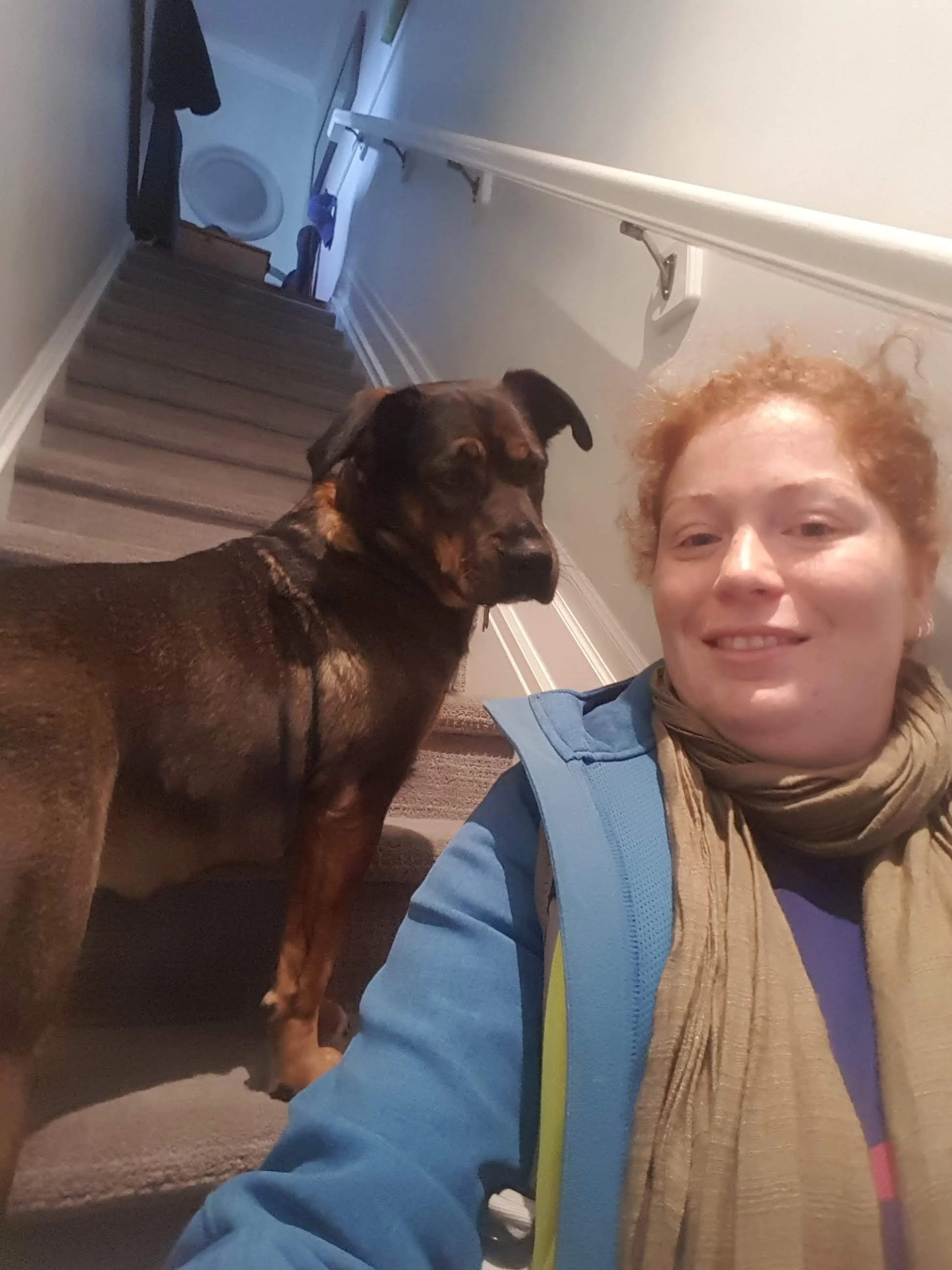 Louise Lawrence Animal Behaviour Consulting Louise Lawrence Animal Behaviour Consulting