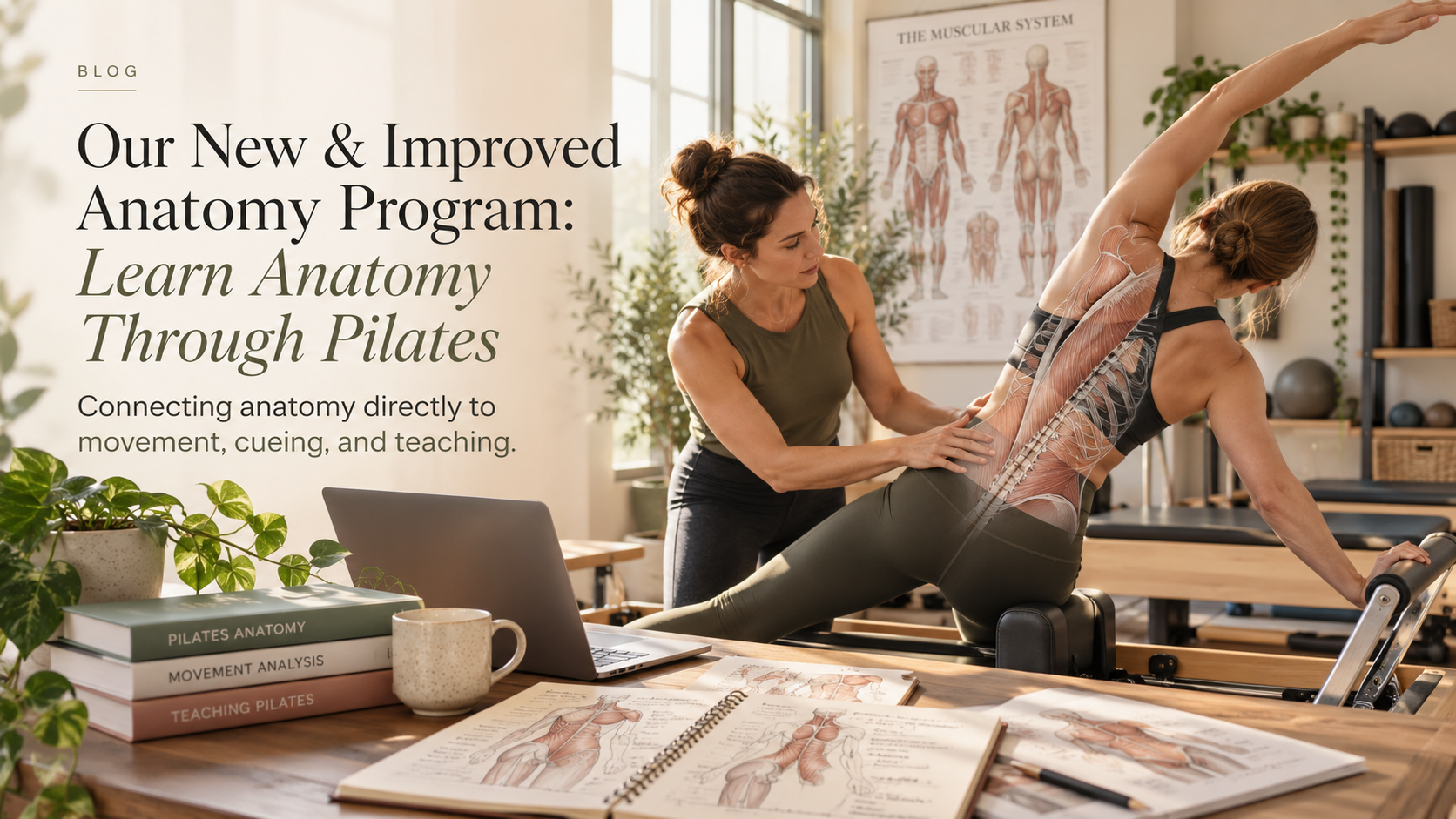 Our New &amp; Improved Anatomy Program: Learn Anatomy Through Pilates