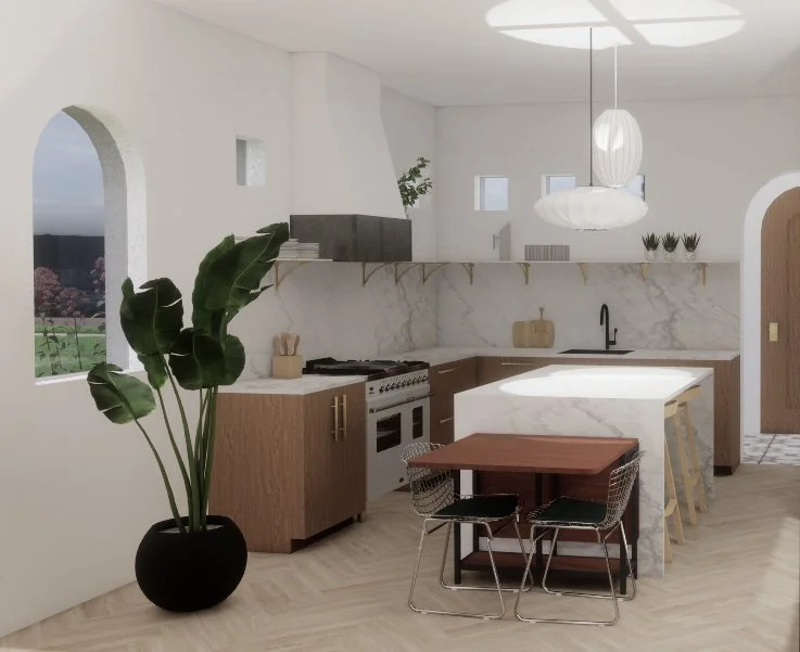 Residential kitchen rendering (SketchUp/Enscape)
