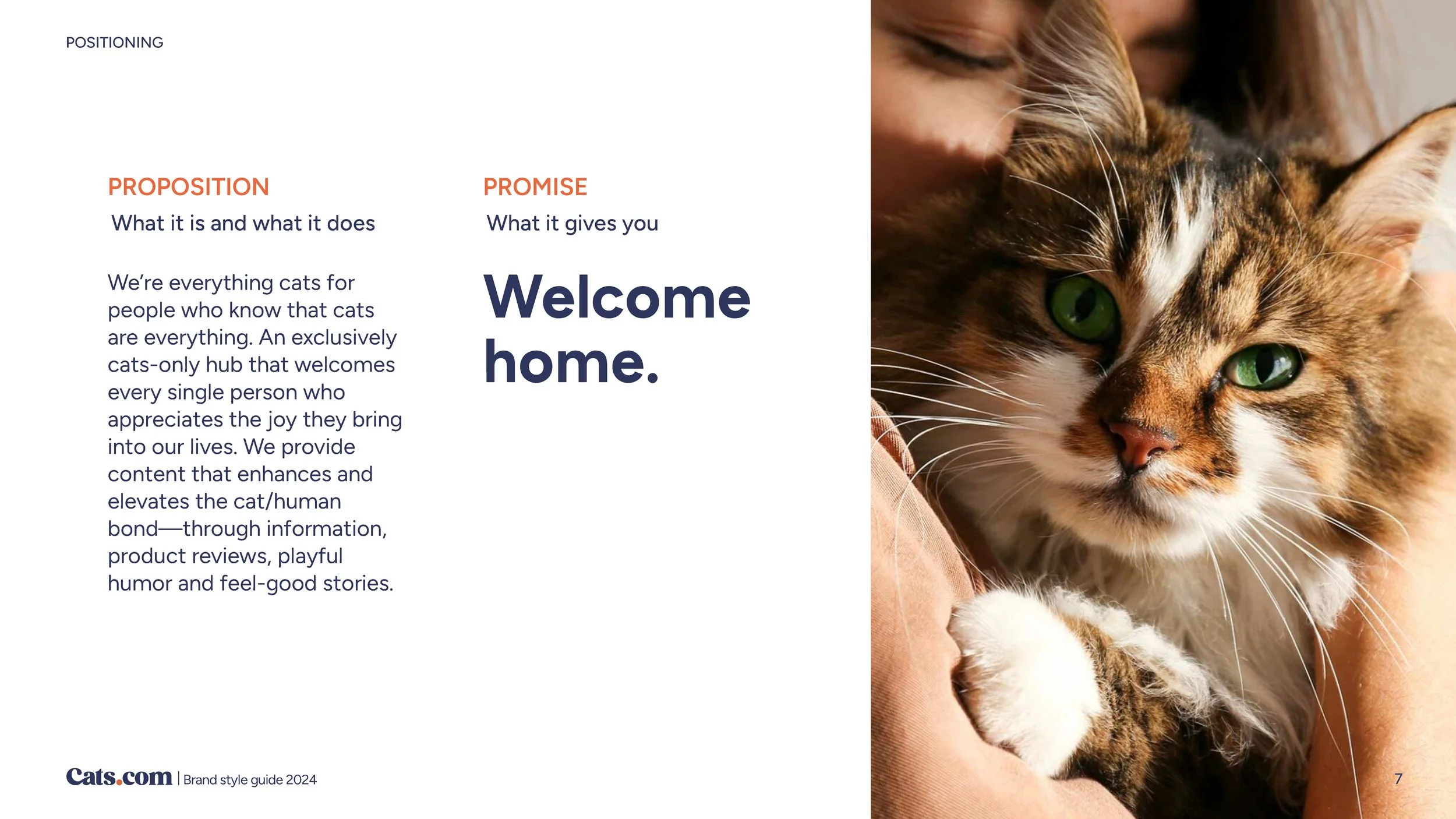 cats_brandguidelines_Page_07.jpg