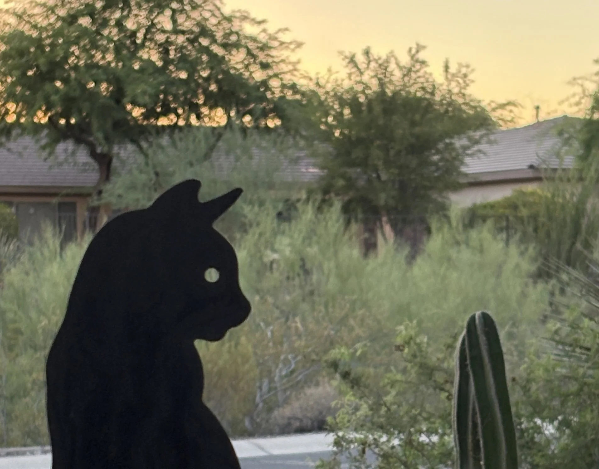 Cats.com