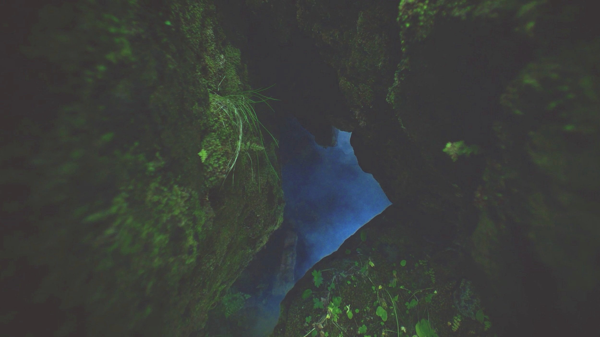 header-bg.jpg