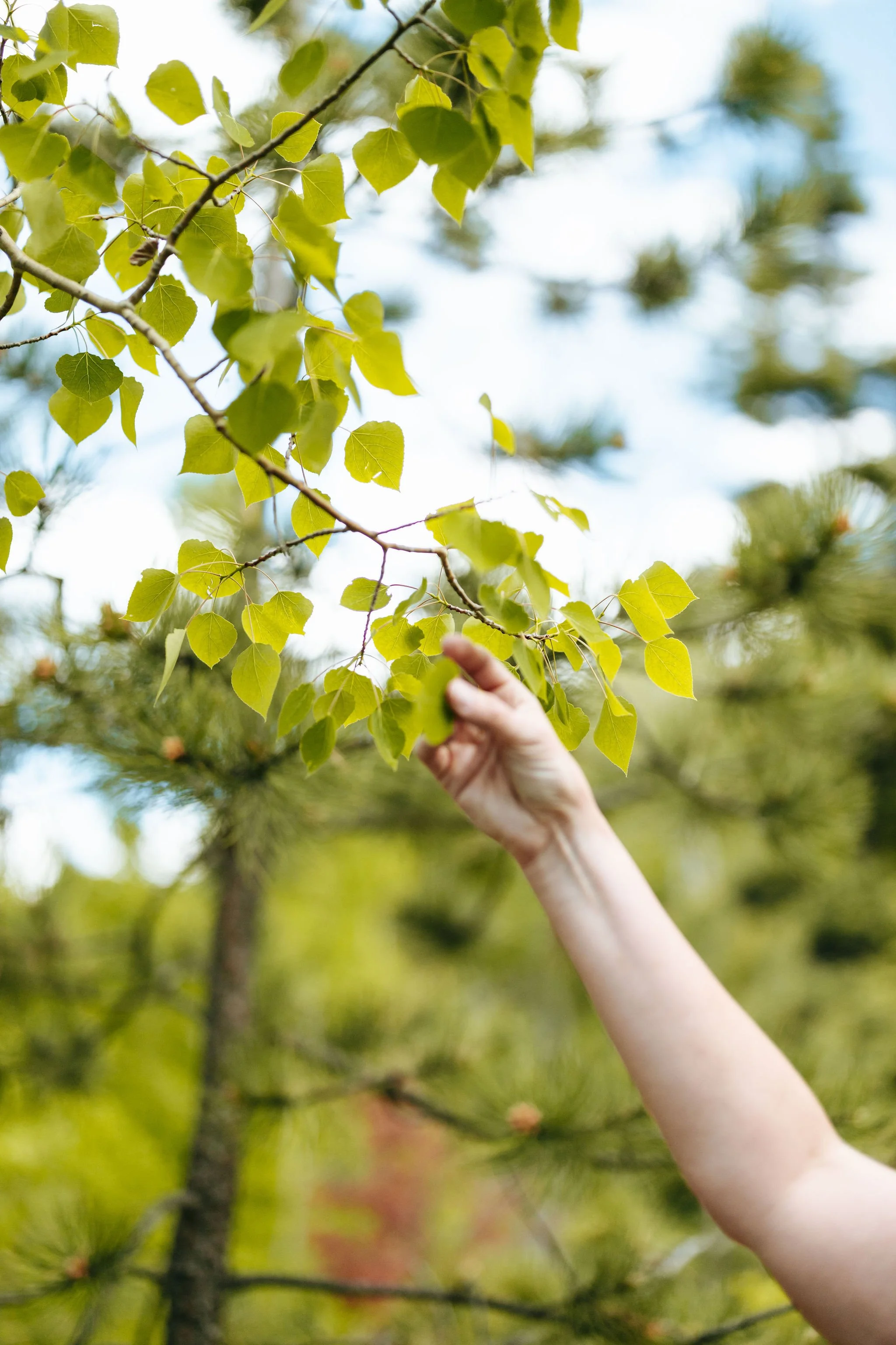 Productivity &amp; Peace: What happens when I take my Apple Watch off