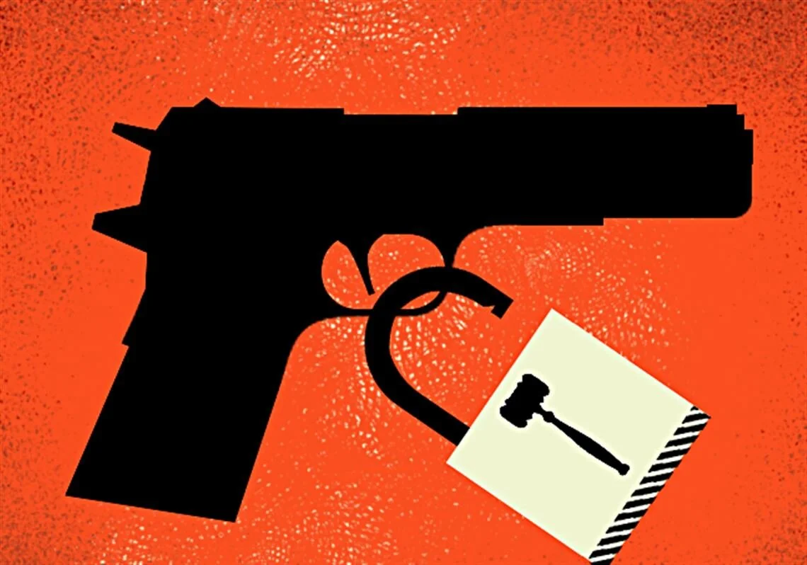 Biden's Second Amendment Assault 