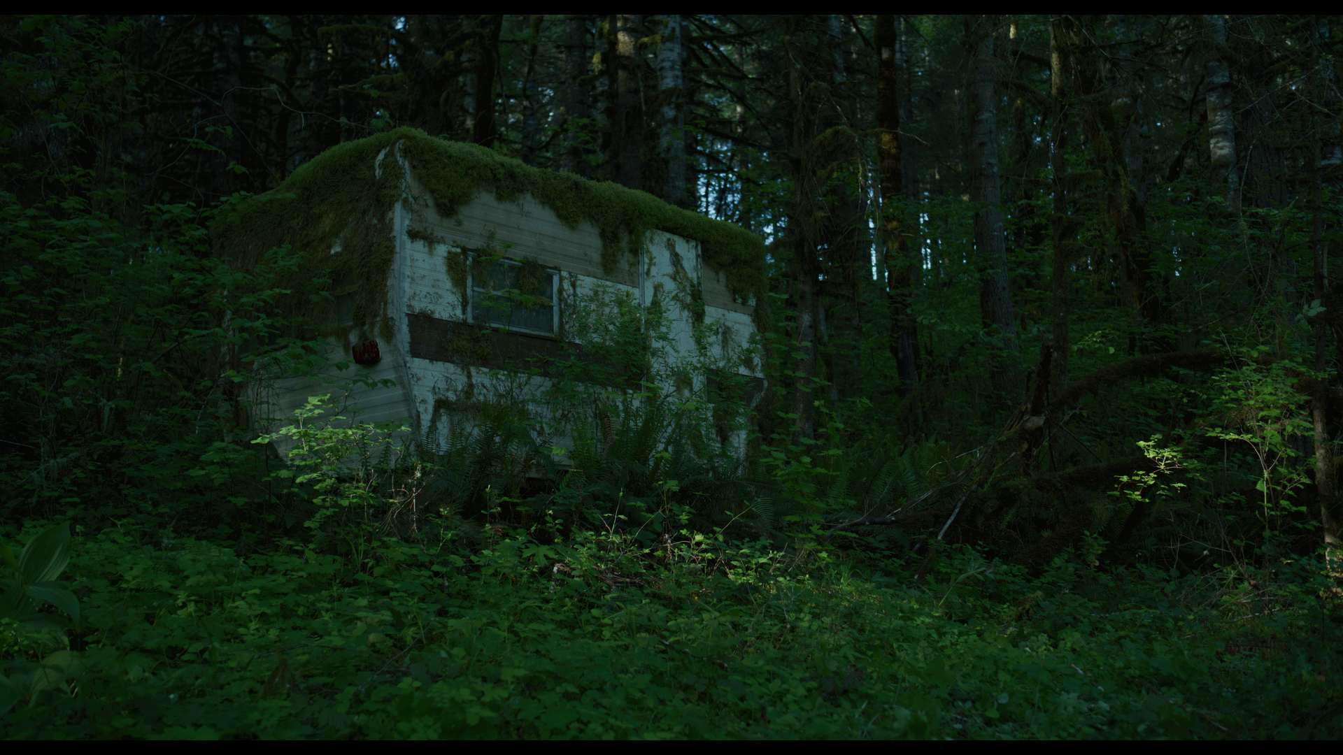 Screenshot 2024-05-15 at 2.47.22 AM.png