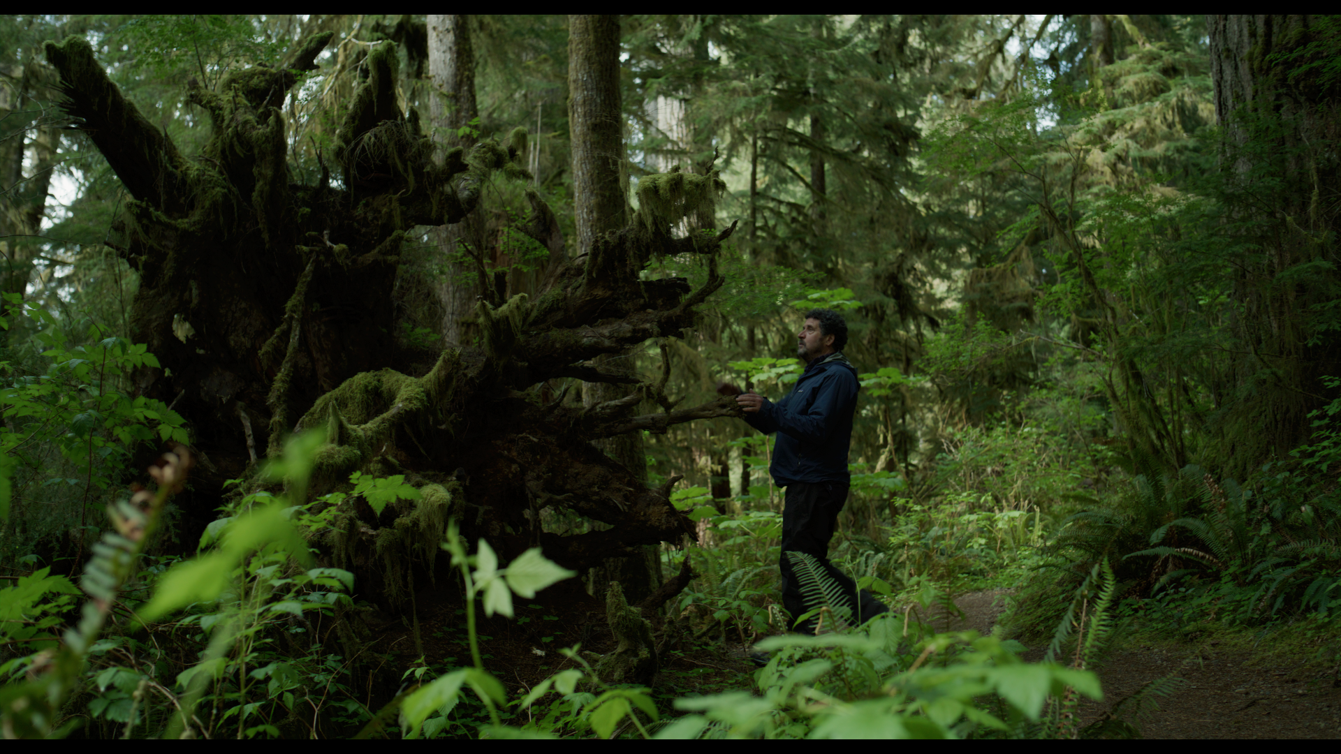 Screenshot 2024-05-17 at 12.54.21 AM.png