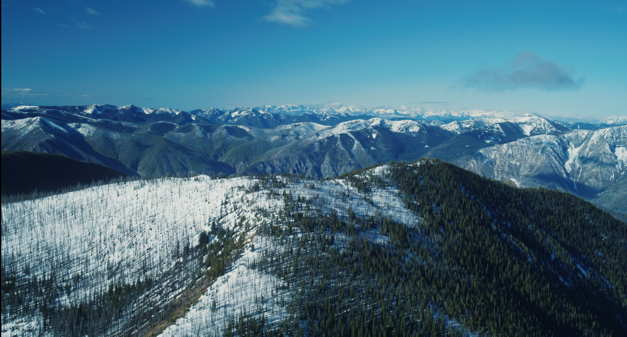 Screenshot 2024-06-01 at 3.00.21 PM.png