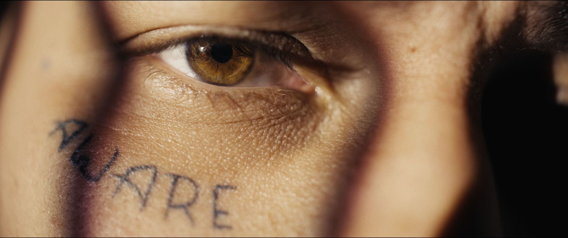 Screenshot 2023-08-17 at 11.45.13 AM.png