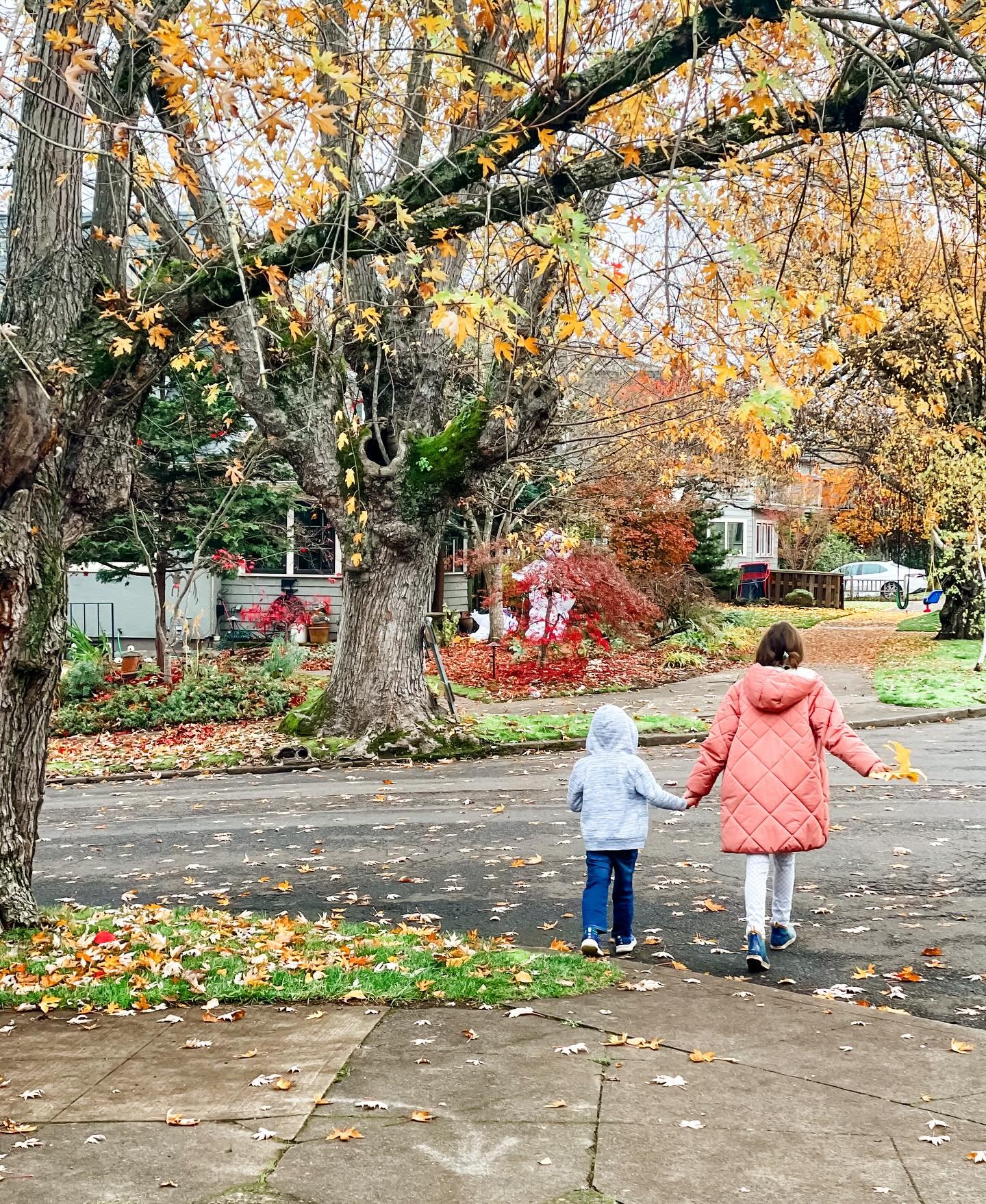 Walking my baby back home 🍁 #pnwfall #fallwalk