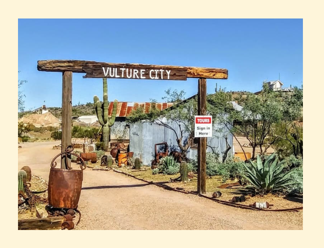 Vulture  City morning performance