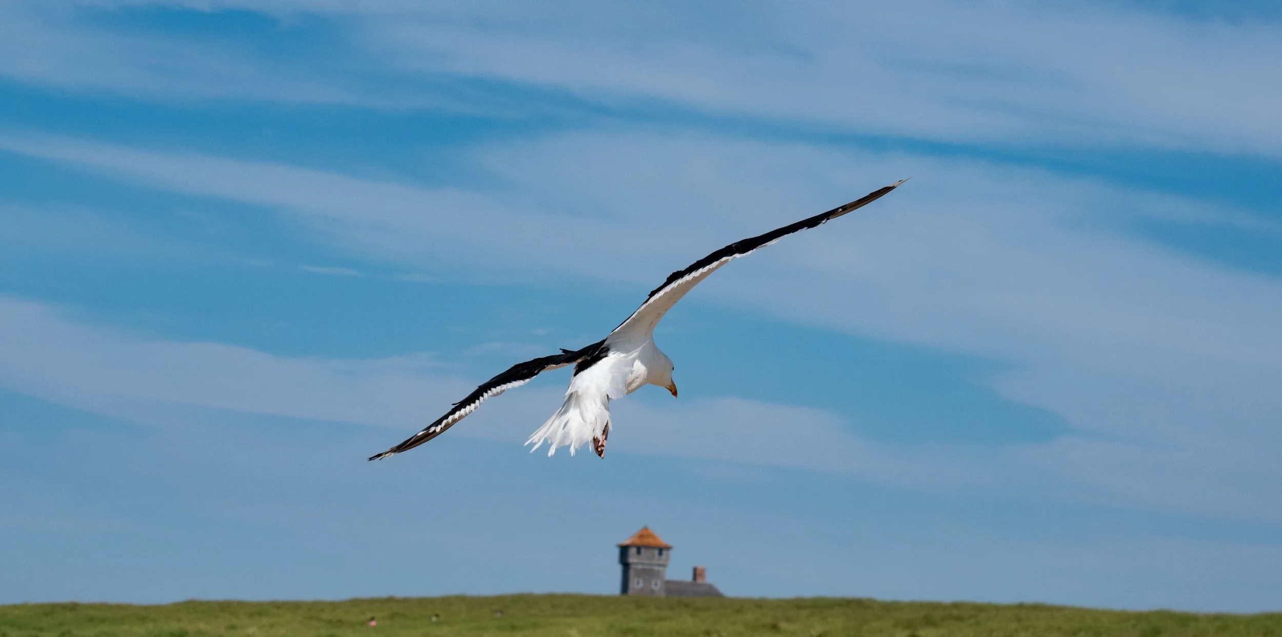 Personal Projects.jpg