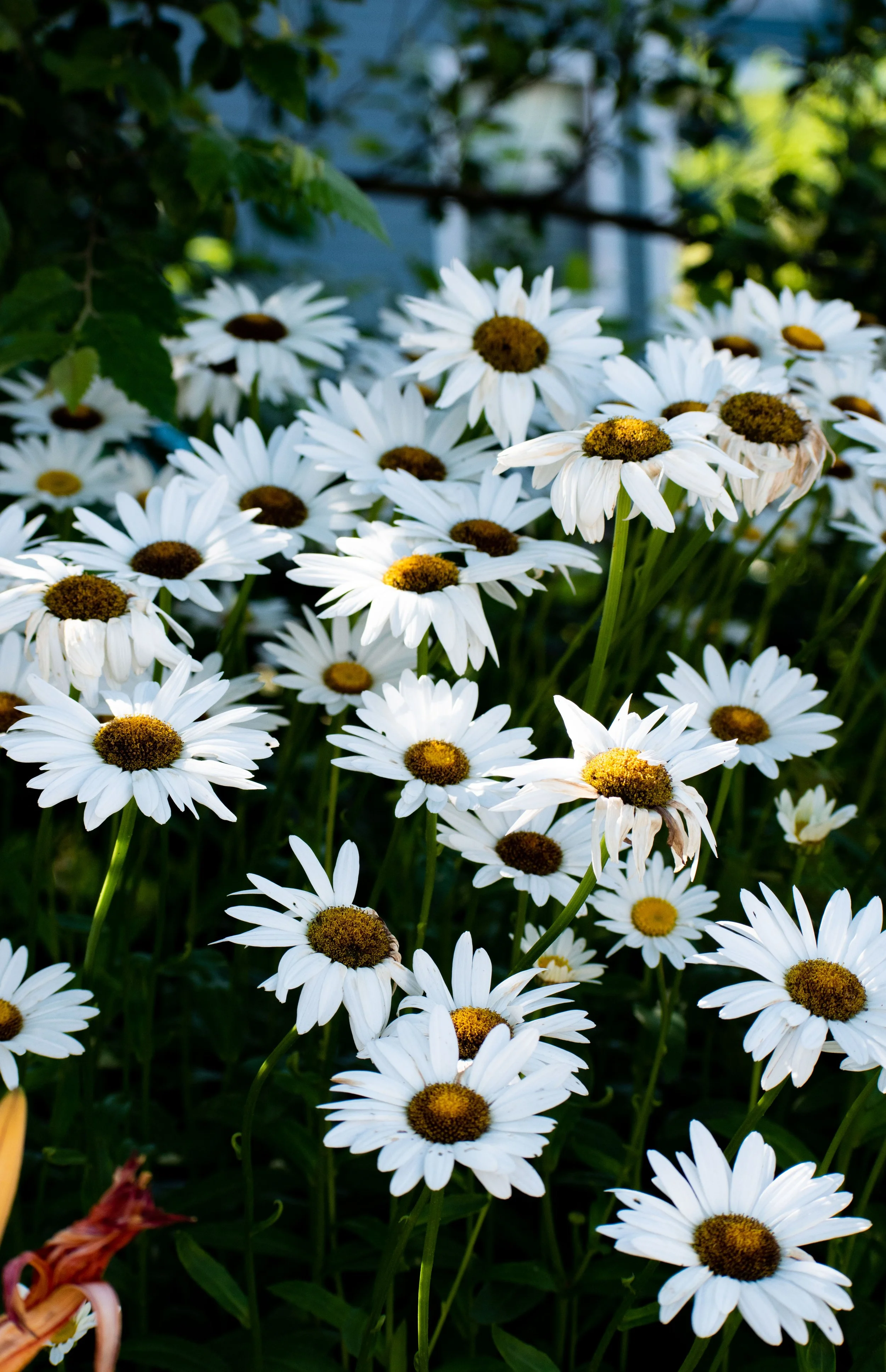 Personal Projects-11.jpg