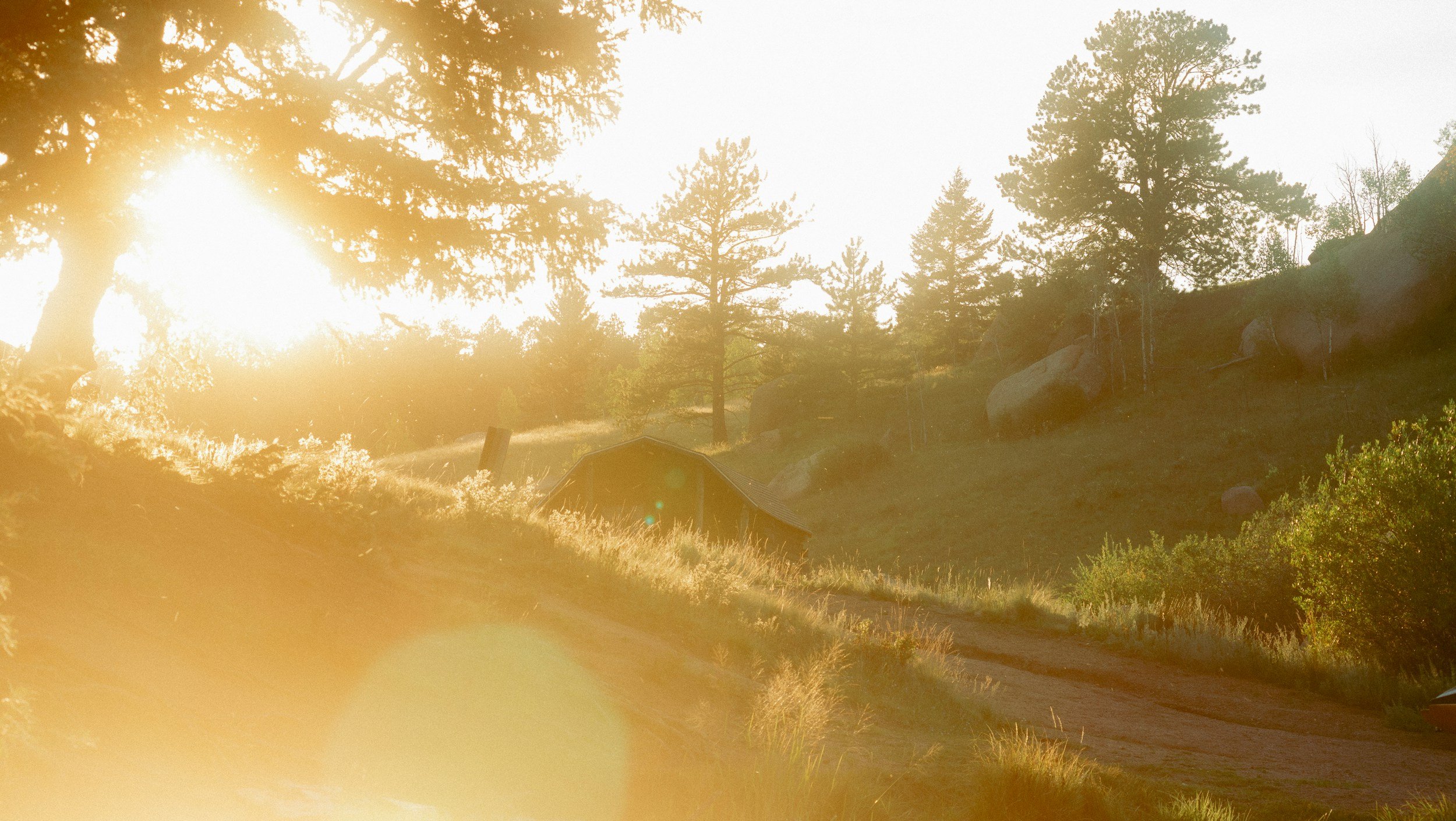 Sunlight shining through trees in a forested area with rocks and a small building or shelter.