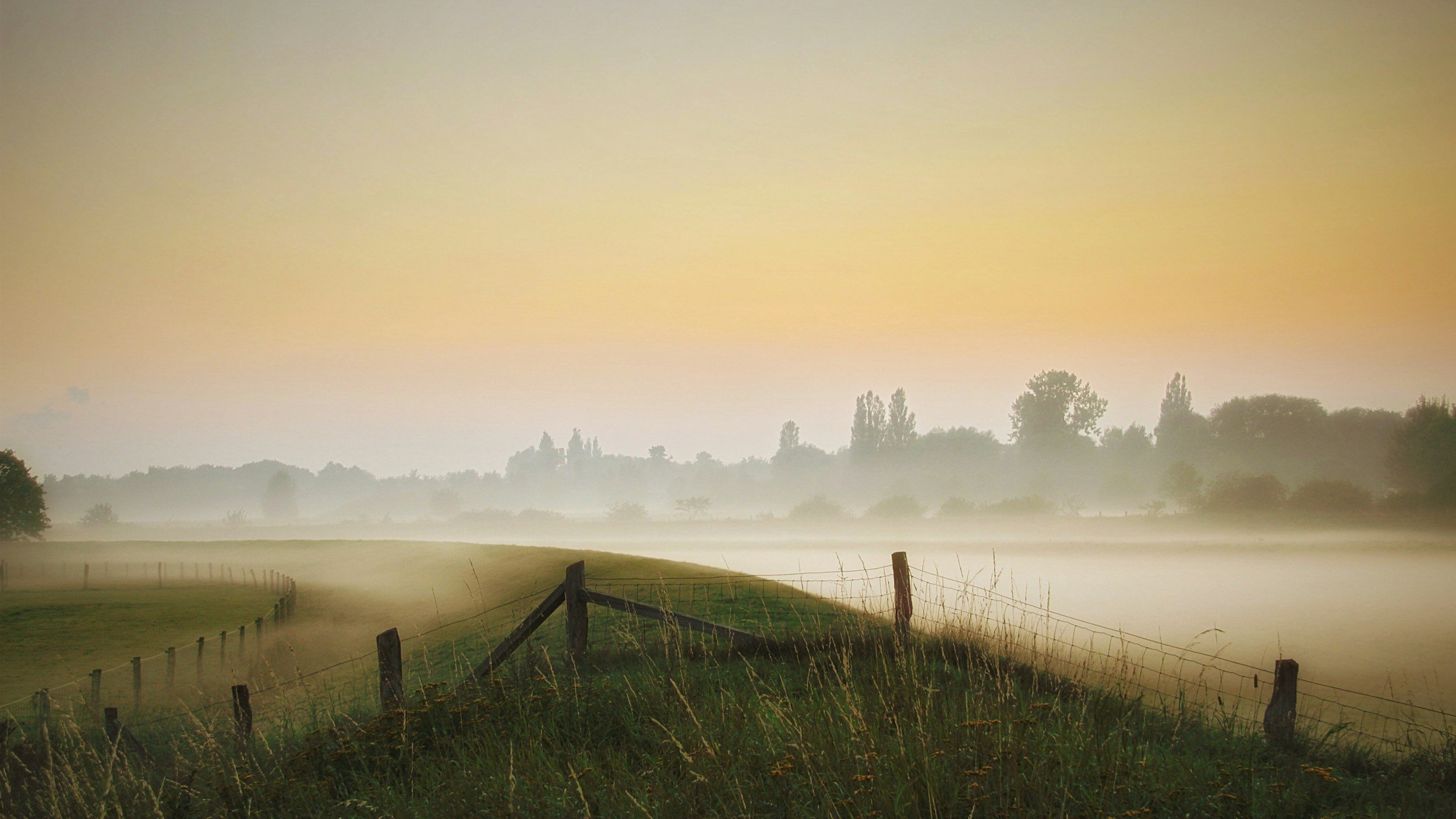 A foggy rural landscape with a dirt path lined by old wooden fence posts and barbed wire, open fields, and trees in the distance under a pale sky.