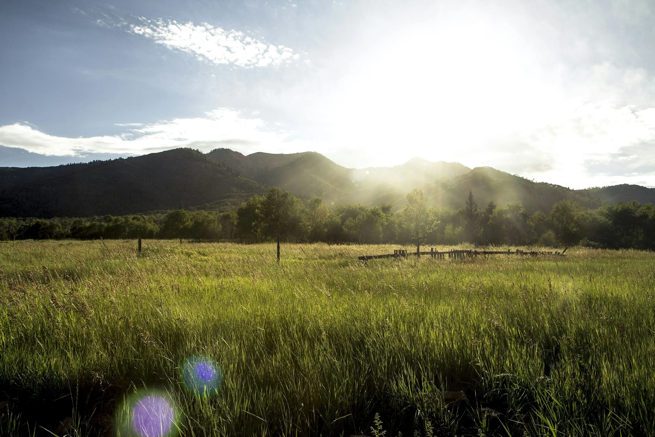 A scenic view of a grassy field with tall green grass, a wooden fence, trees, mountains in the background, and a bright sun with lens flares in the sky with scattered clouds.
