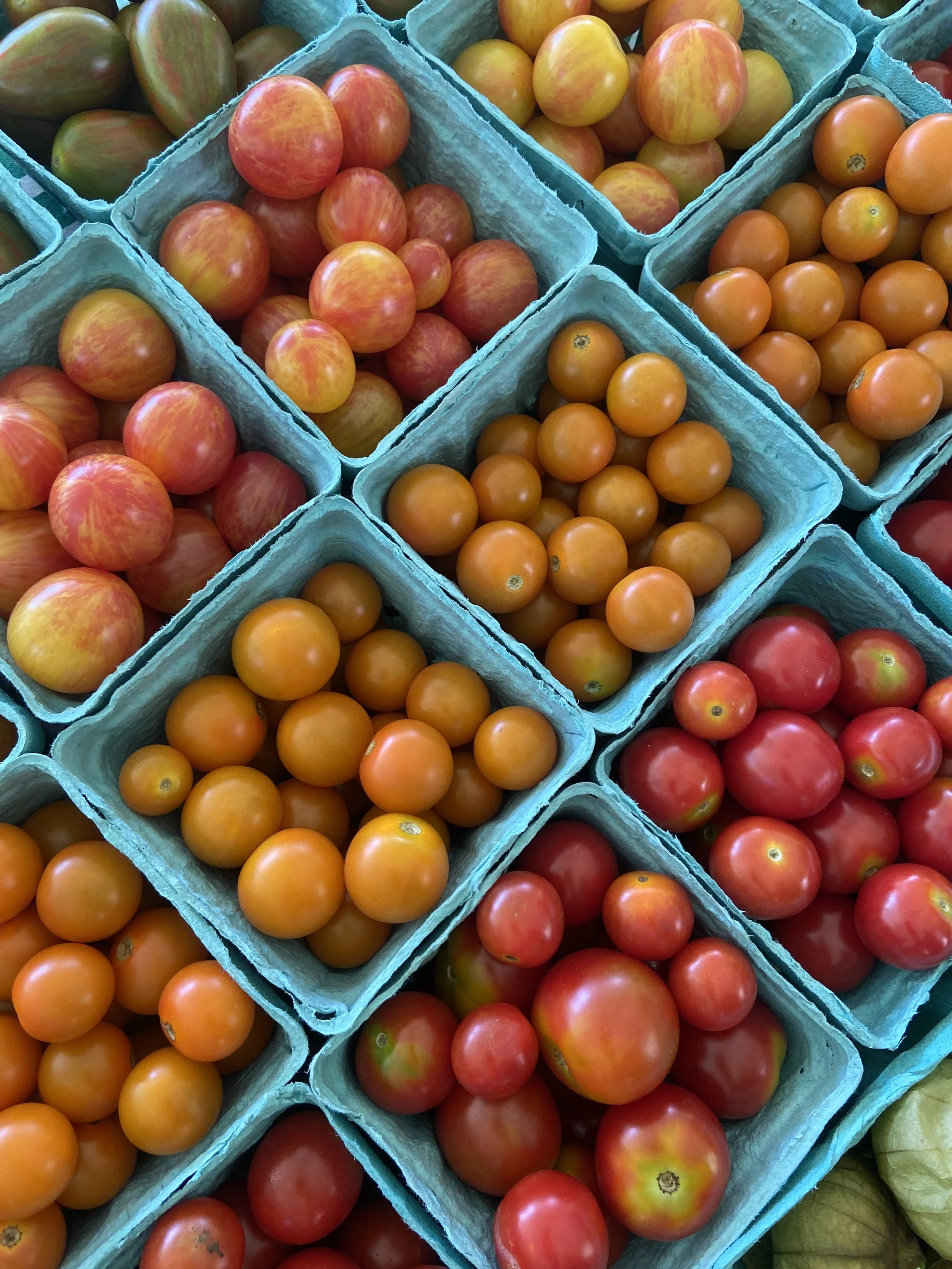 Cherry Tomatoes | Tomates Cereza