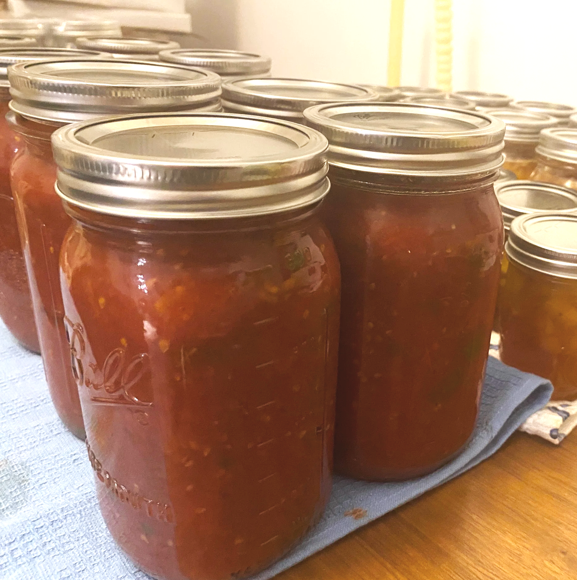 TOMATO SAUCE: TO FREEZE OR TO CAN?
