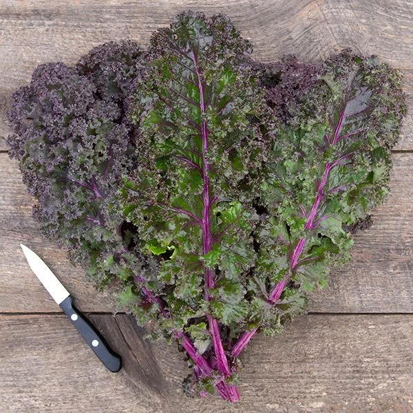 Curly Red Kale | Col rizada roja 