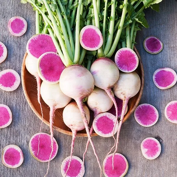 Watermelon Radish | Rábano sandía 