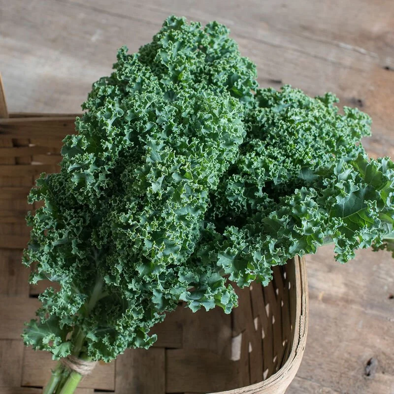 Curly Green Kale | Col rizada verde