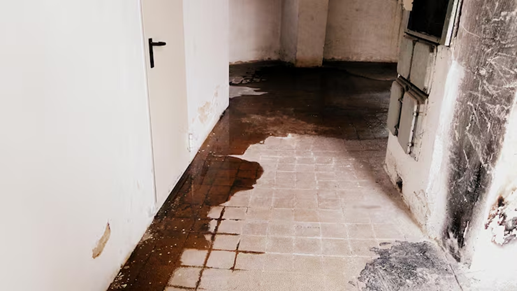 Leaks and Water Damage