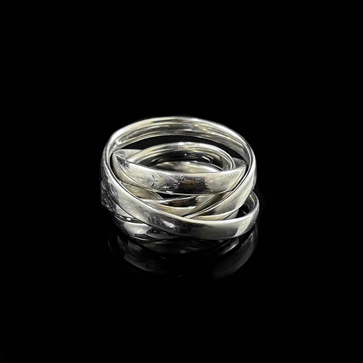 Platinum 5-Band Coiled Ring signed Silverhorn Back.png