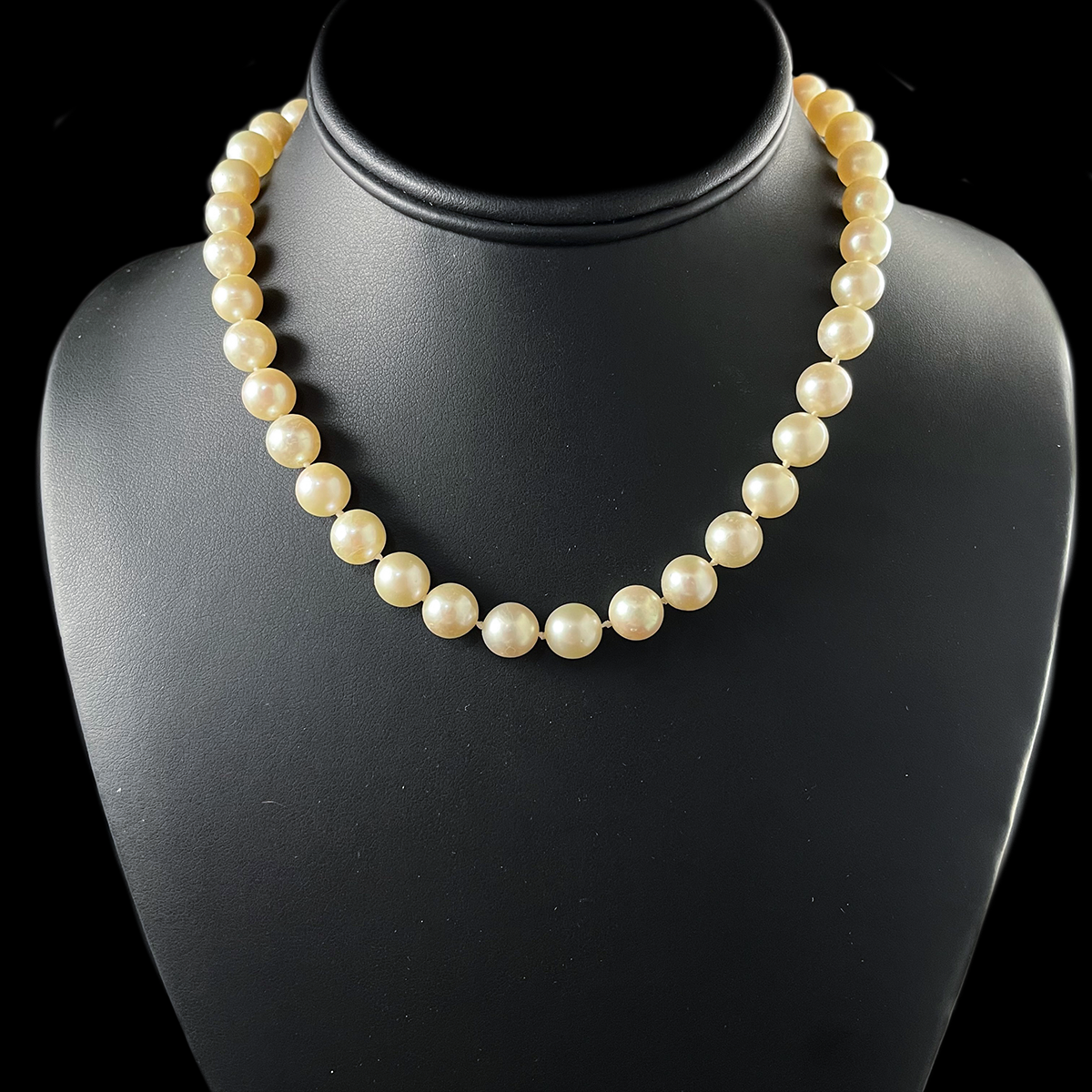 Akoya Pearl Necklace with a 14K Yellow Gold Jade Clasp.png