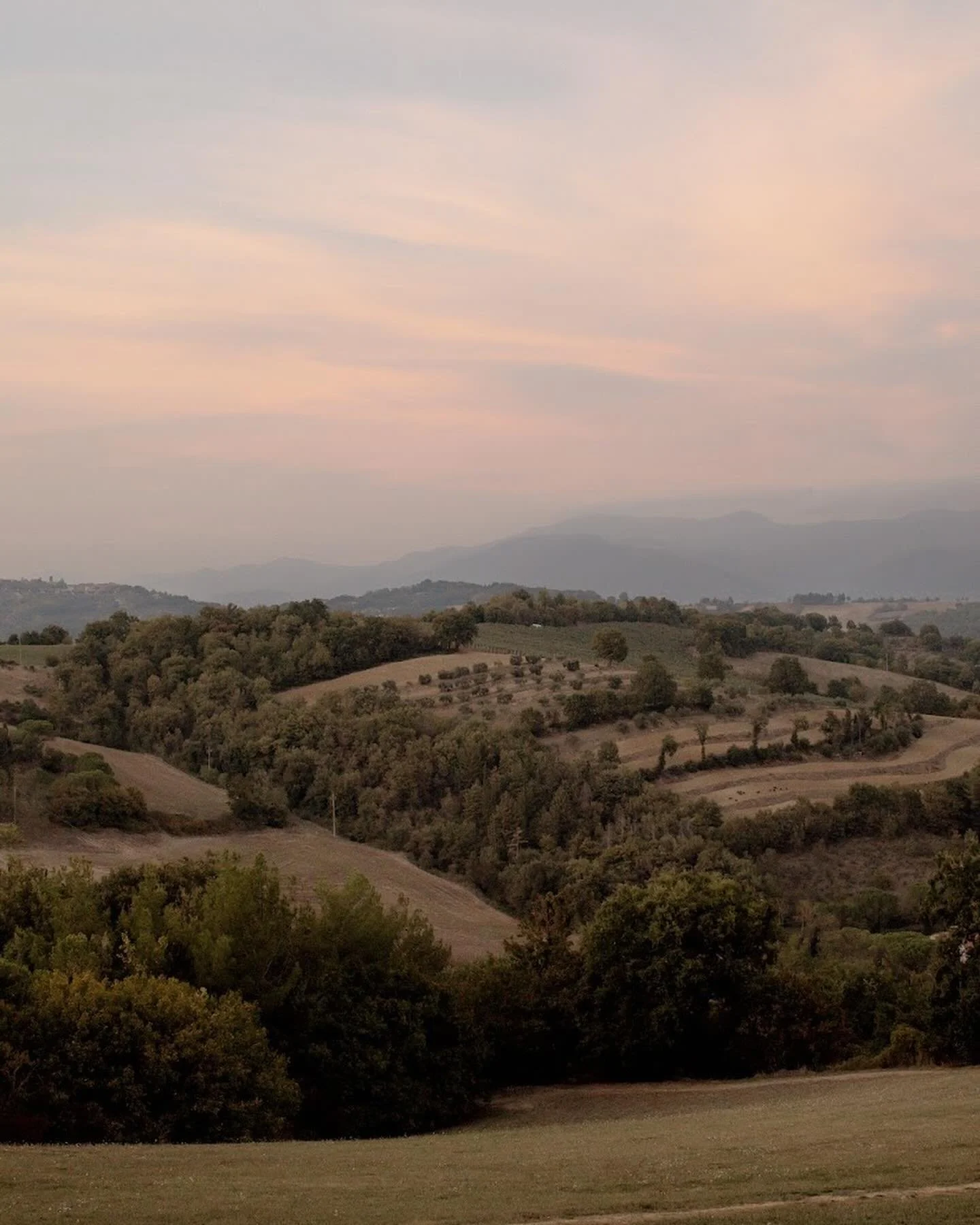 Autumn in Umbria, last year. This trip with the @blandbadger team and the wonderful women from around the world who attended was so special to me. I find that I am still drawing on the inspiration and creativity I found there, even 12 months later, w