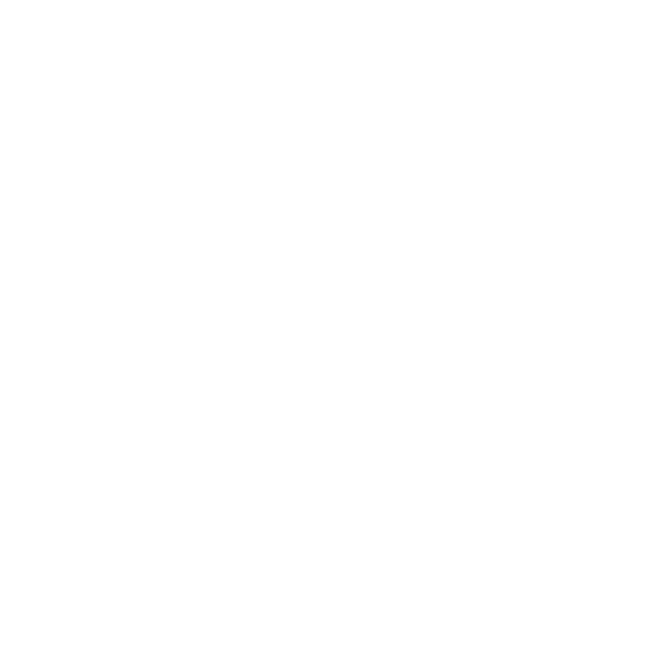 HANS LOREI