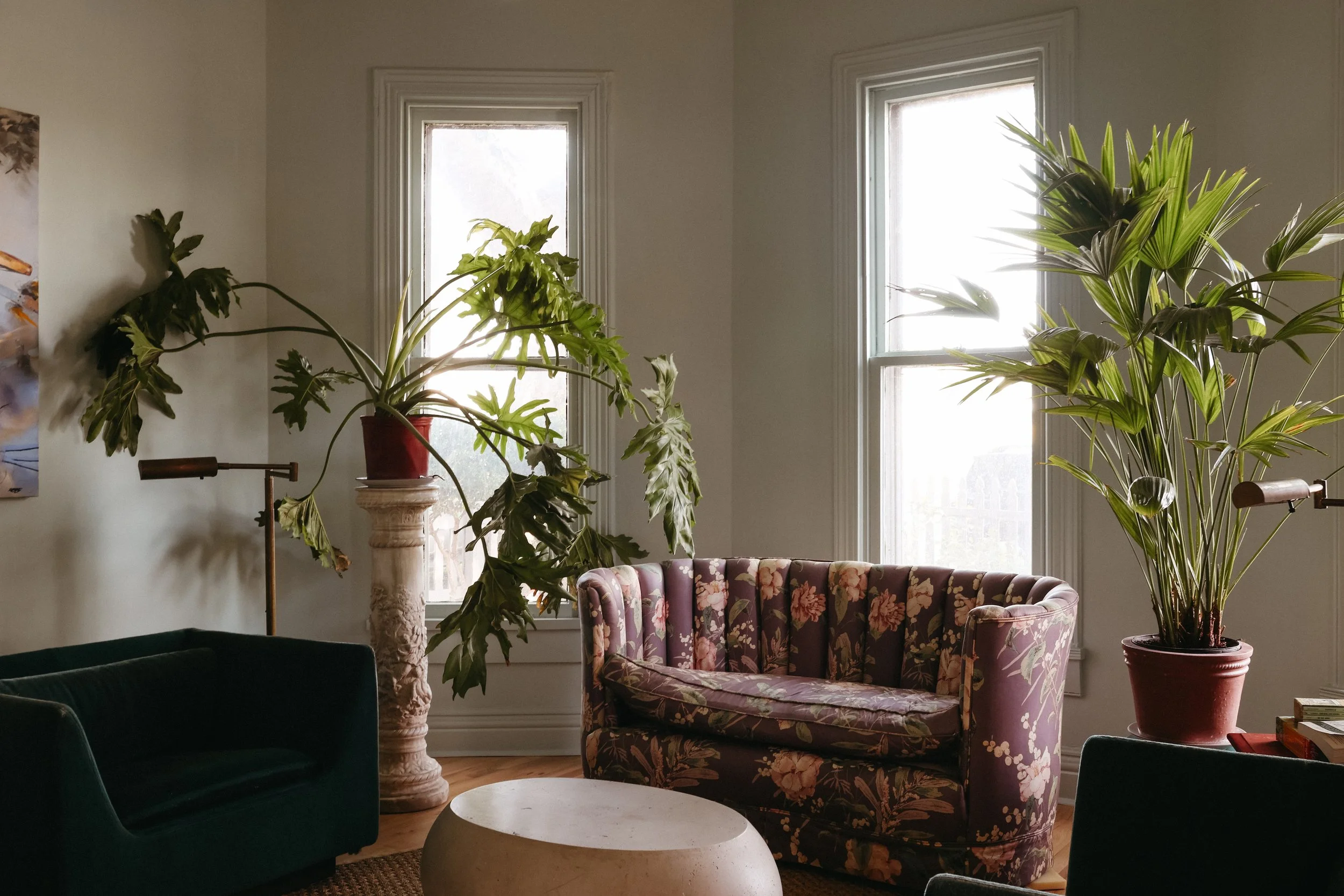 Lockeland Springs — HANS LOREI