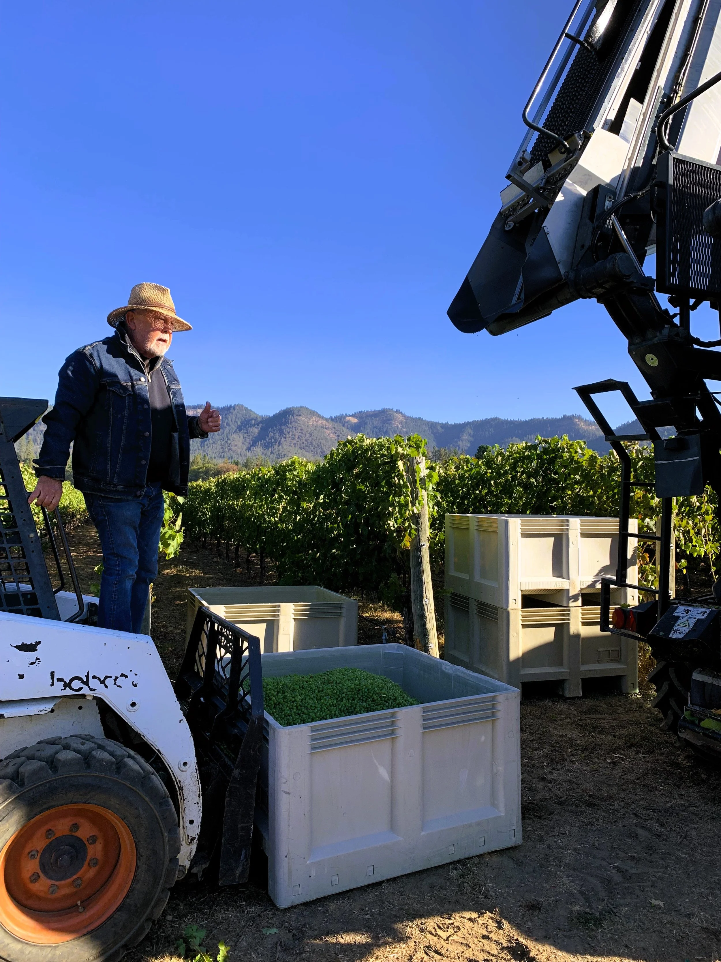 Harvest this and harvest that, It’s all about harvest!