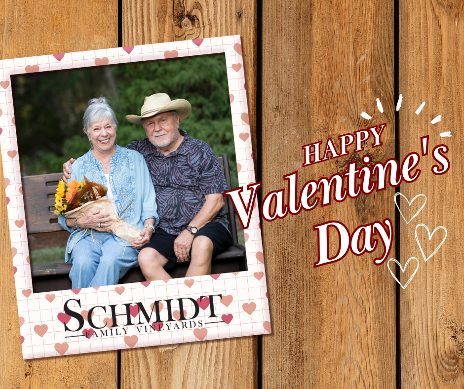 Valentine’s Day at SFV feat. Live Music with Matthew Tavis-Johnson