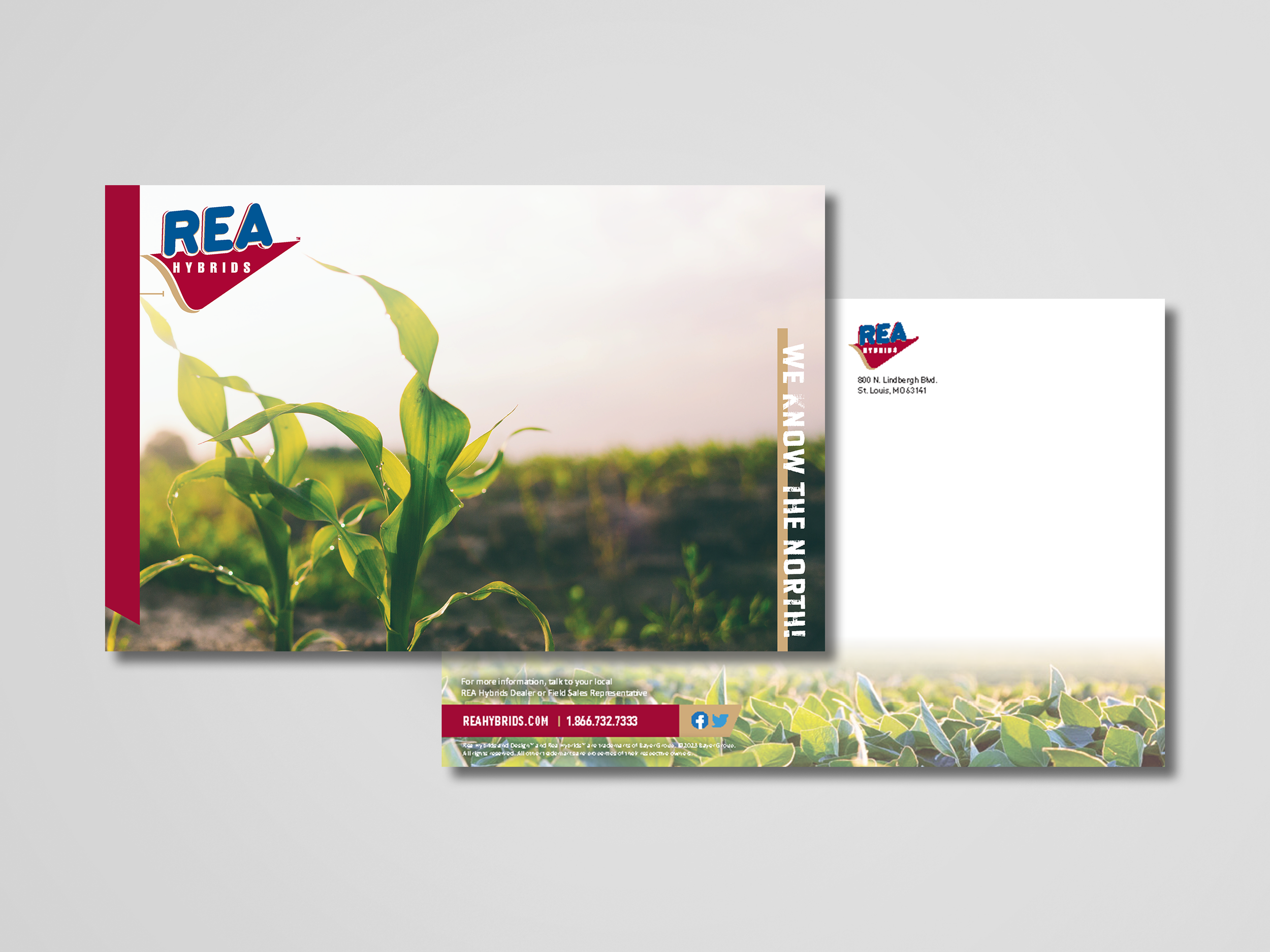 vecteezy_us-half-fold-brochure-mockup_13483224_103.png