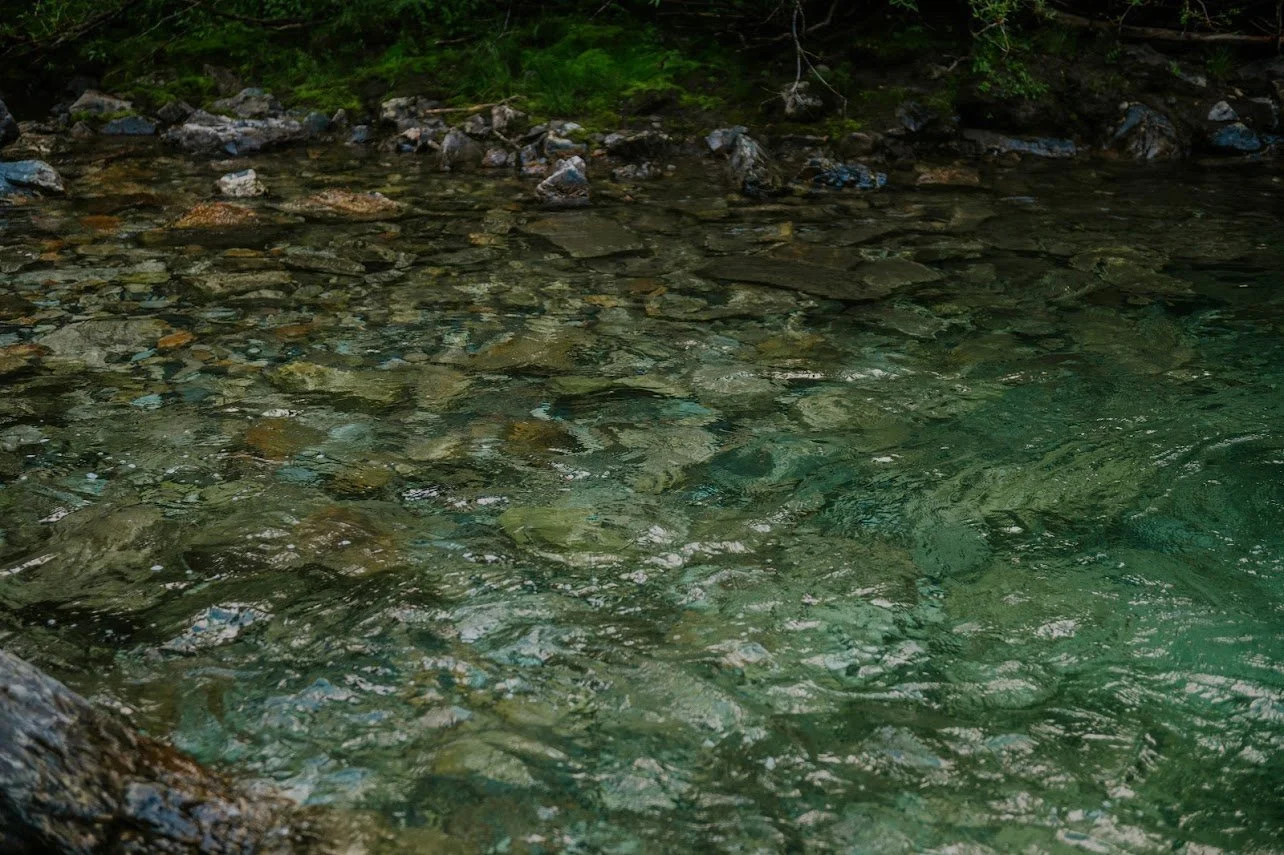 Close-up of a river with clear, flowing water and visible rocks and pebbles beneath the surface, surrounded by greenery.