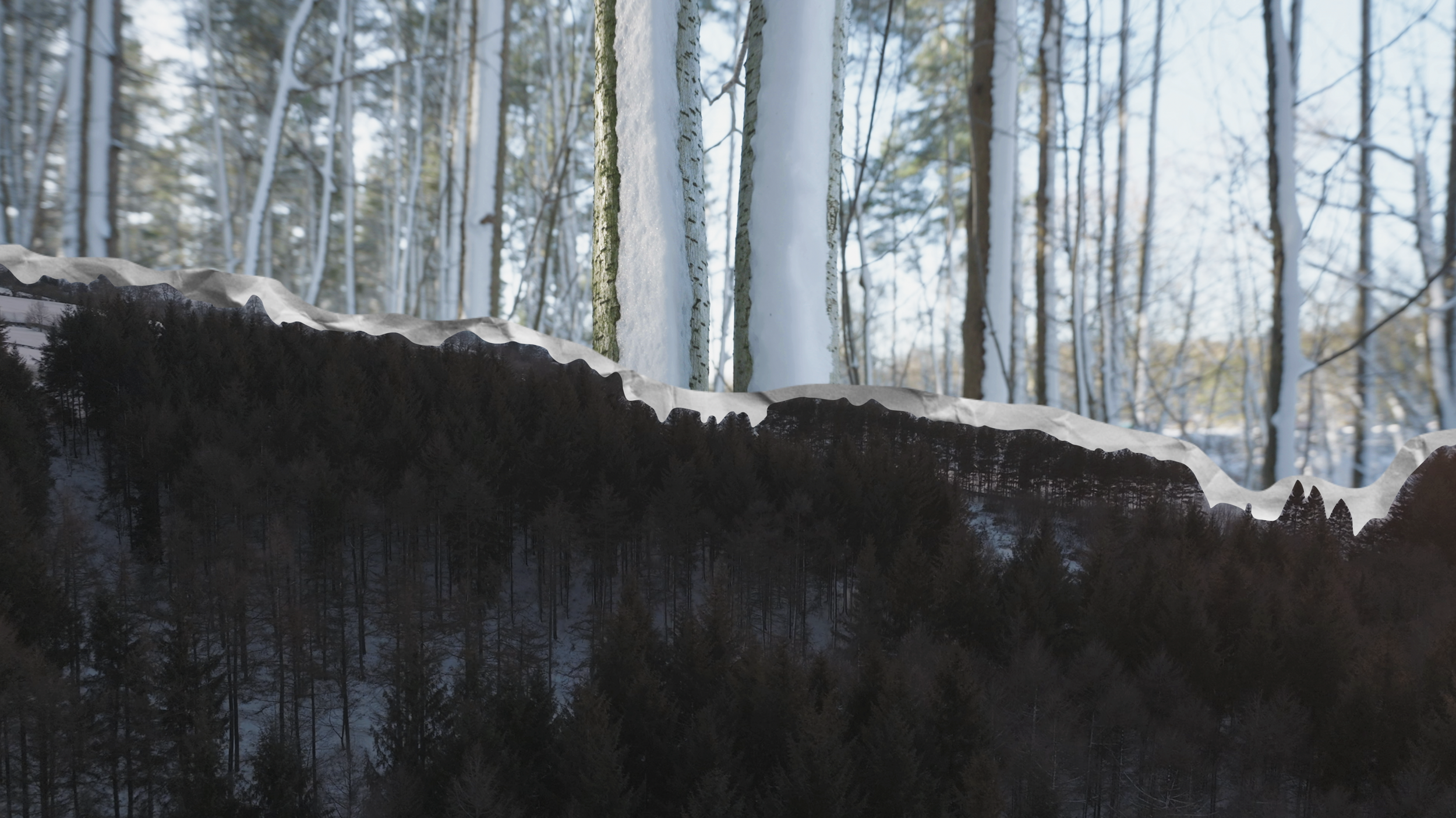 Screenshot 2023-11-22 at 09.59.37.png