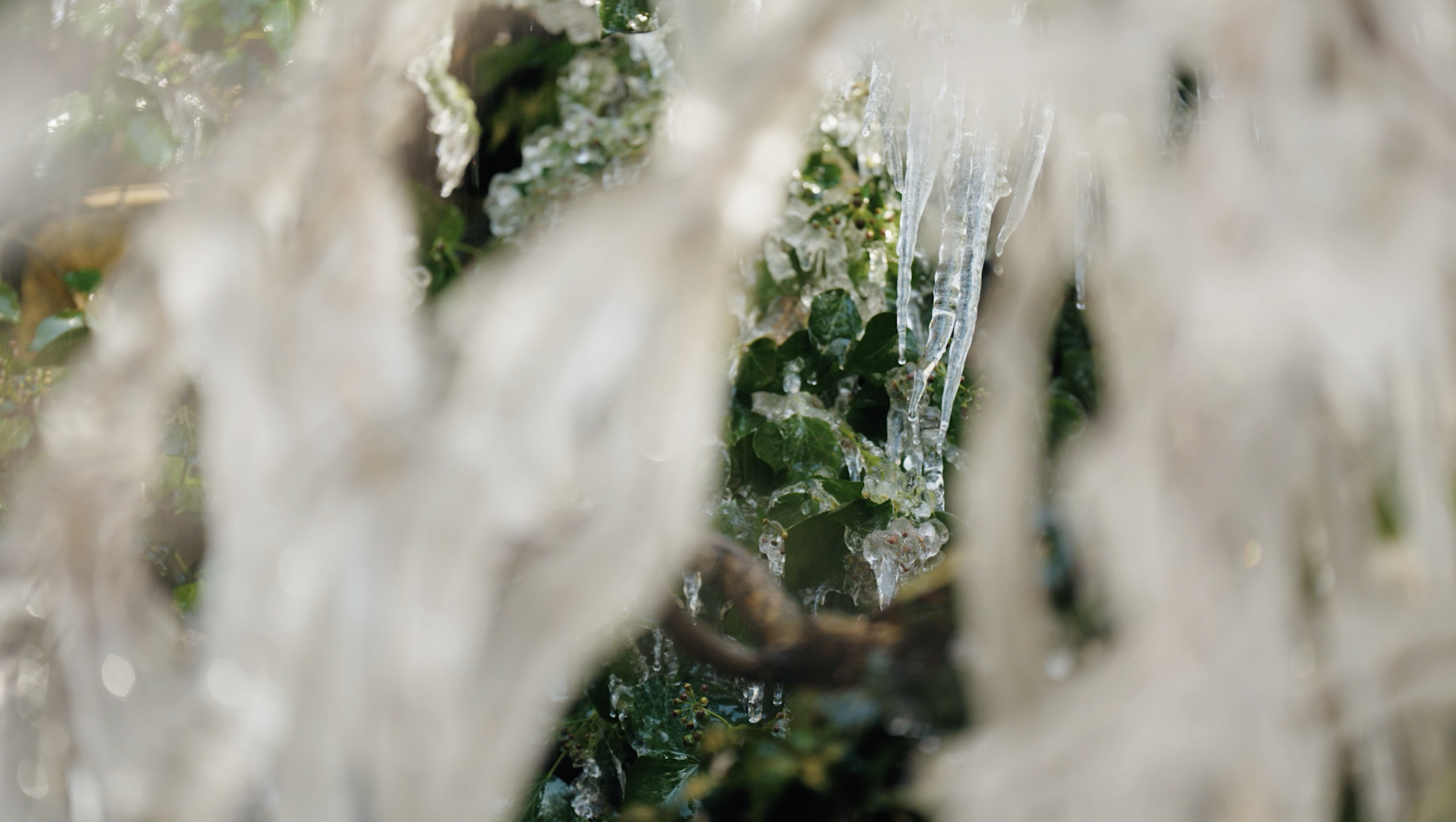 Screenshot 2023-11-21 at 16.53.07.png